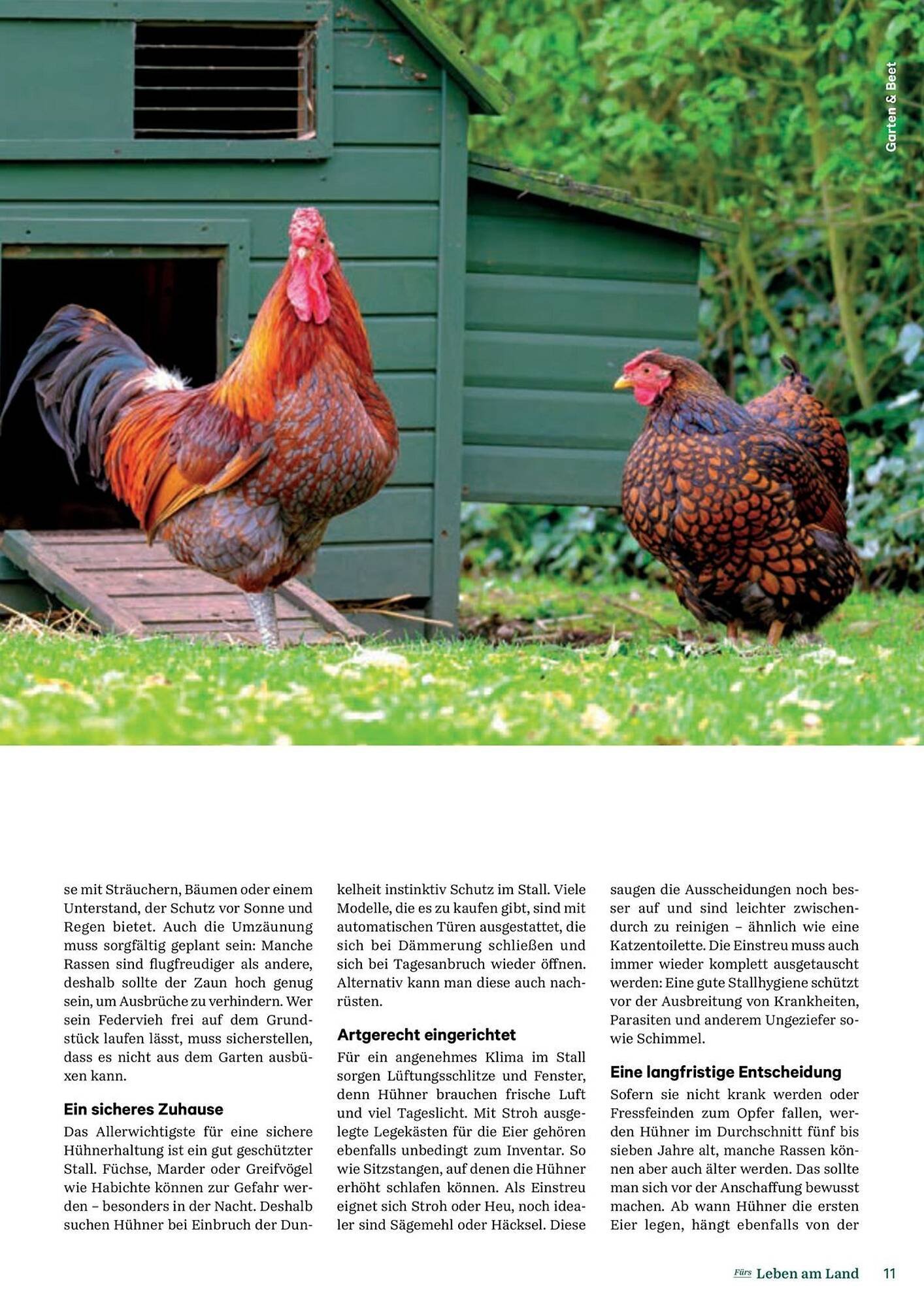 Lagerhaus Flugblatt (2025-09-13 - 2025-09-15)