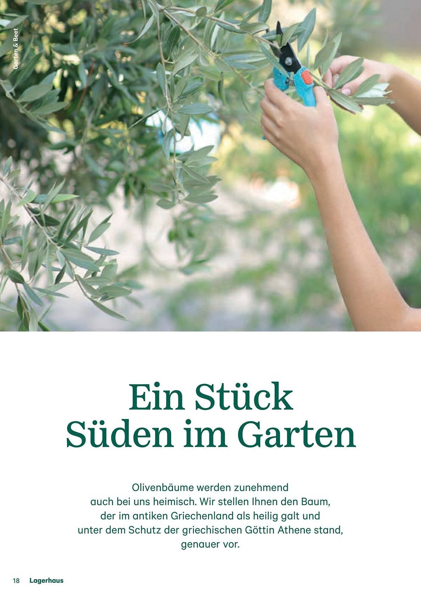 Lagerhaus Flugblatt (2025-09-13 - 2025-09-15)