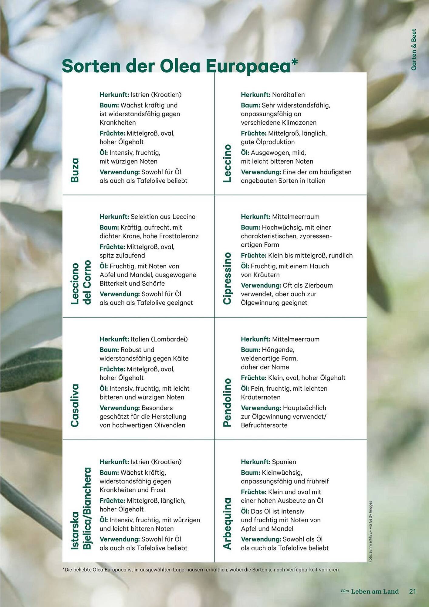 Lagerhaus Flugblatt (2025-09-13 - 2025-09-15)