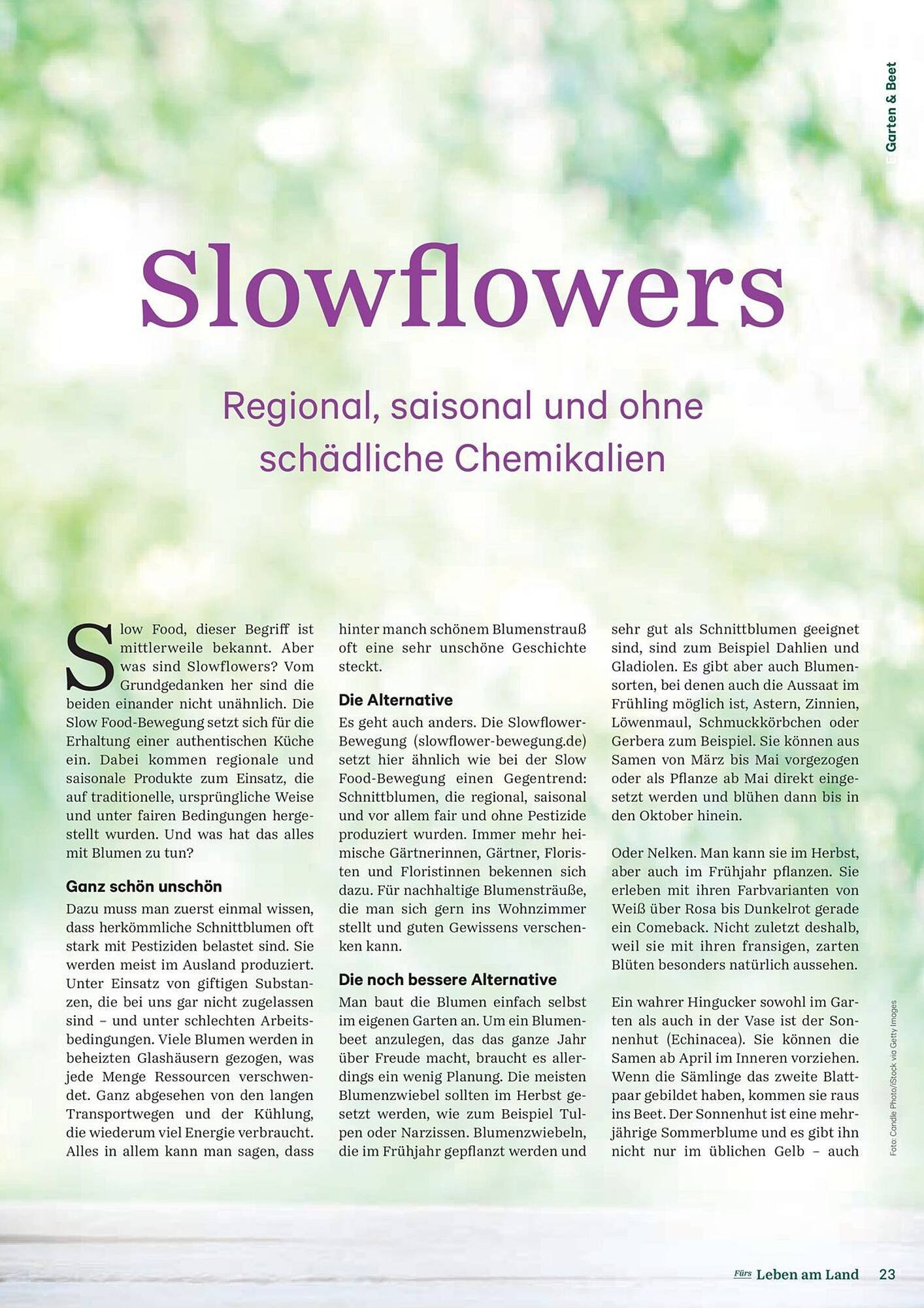 Lagerhaus Flugblatt (2025-09-13 - 2025-09-15)