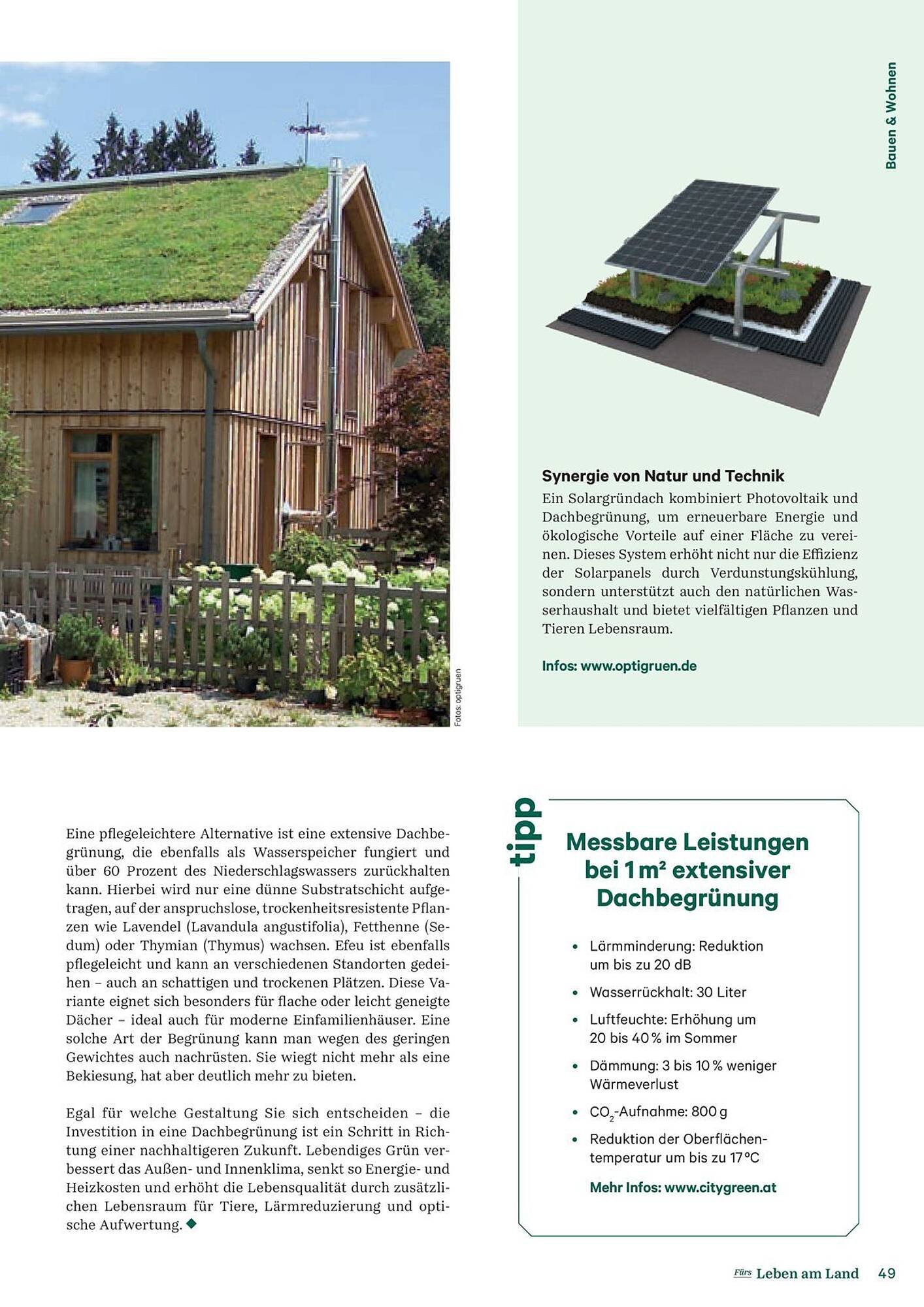 Lagerhaus Flugblatt (2025-09-13 - 2025-09-15)