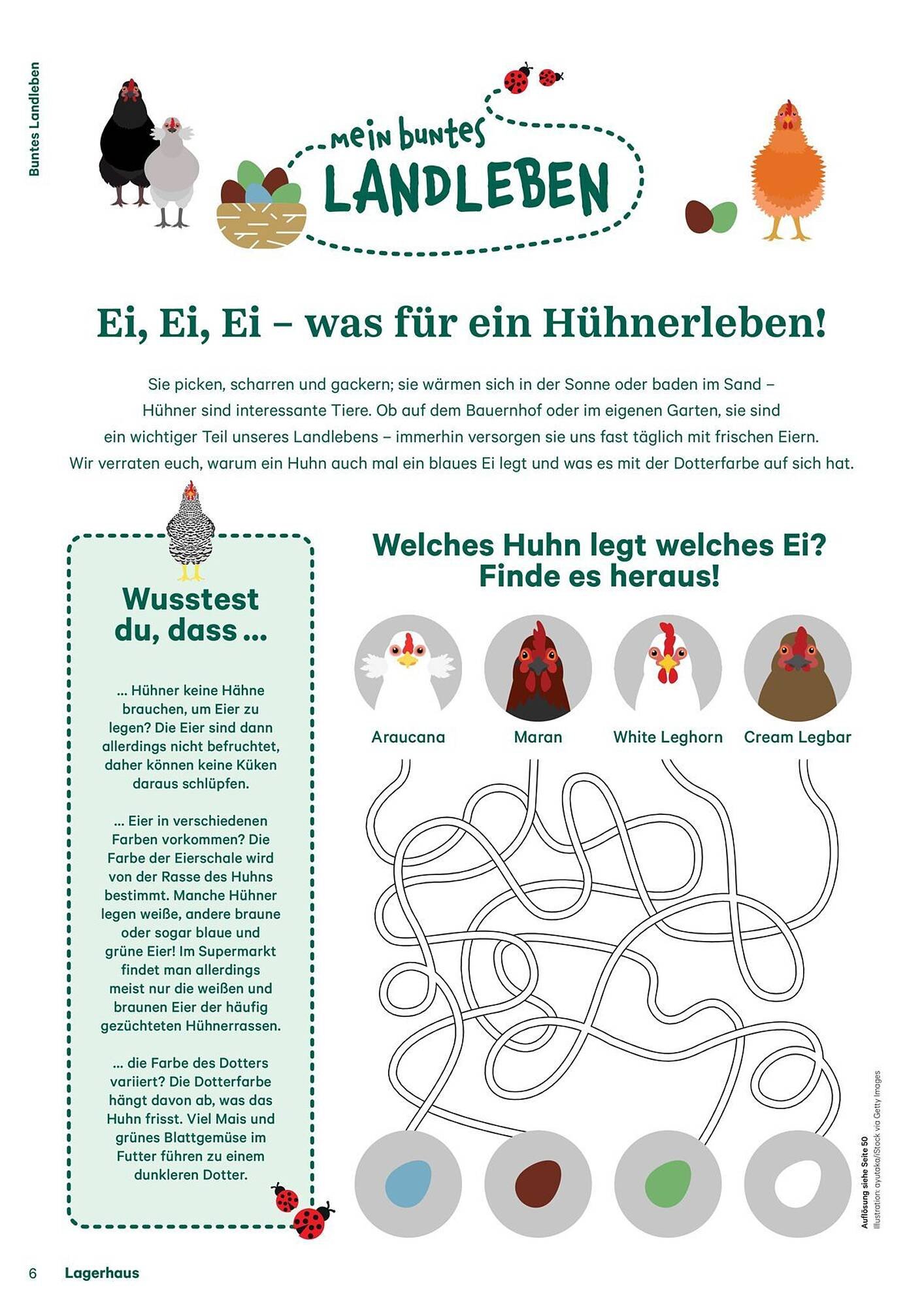Lagerhaus Flugblatt (2025-09-13 - 2025-09-15)