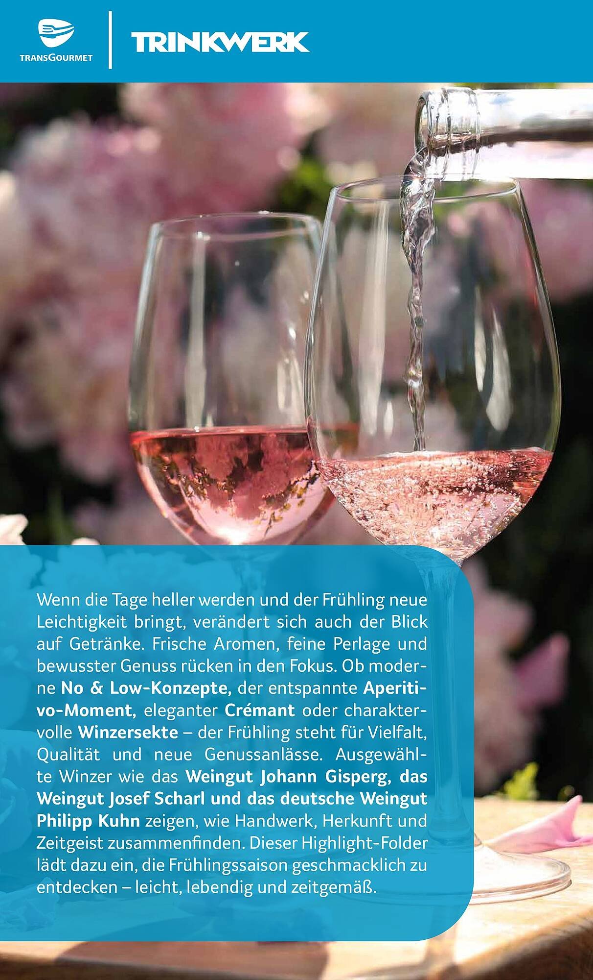 Transgourmet Flugblatt