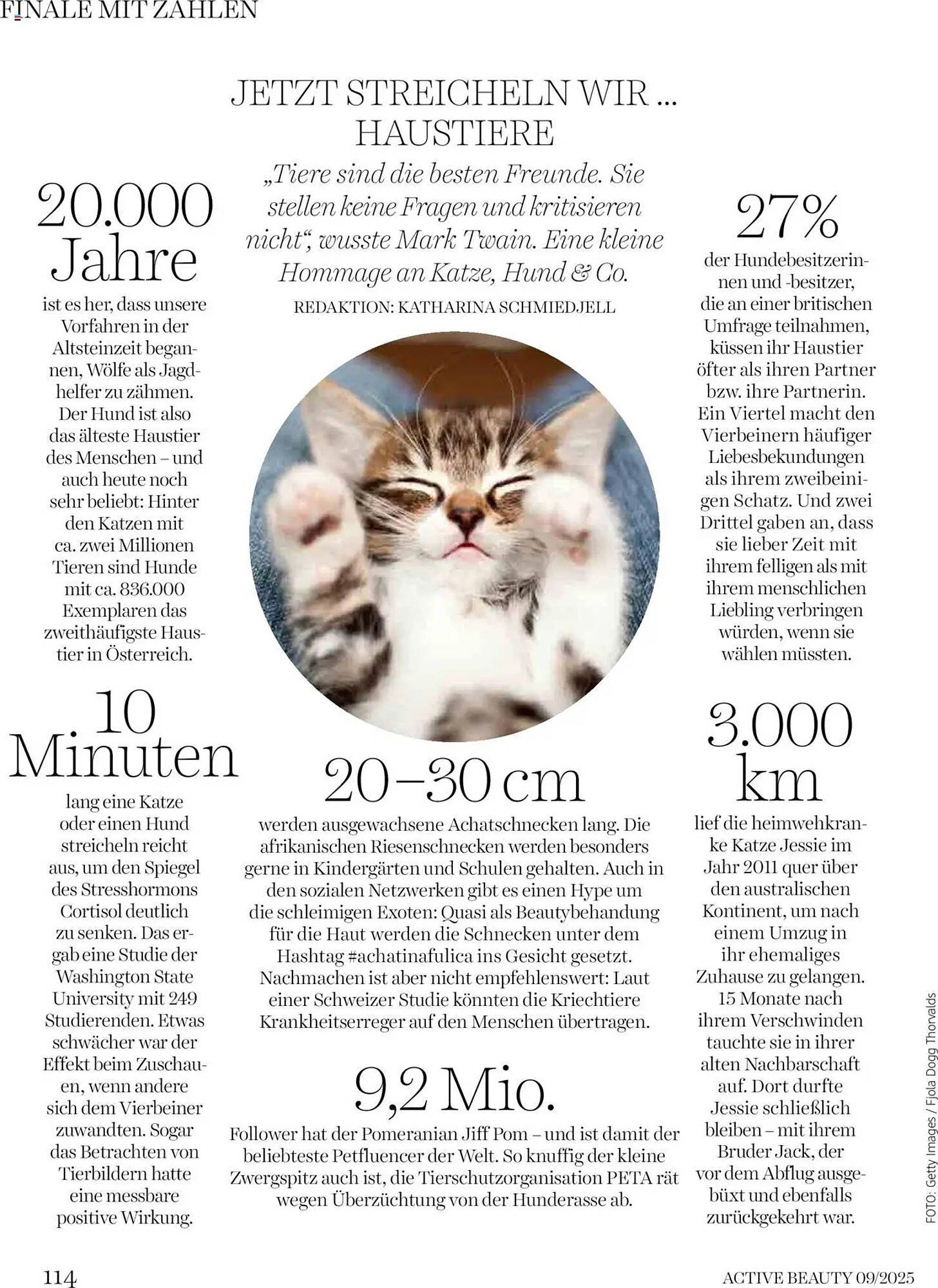 Dm Flugblatt (2025-09-10 - 2025-09-30)