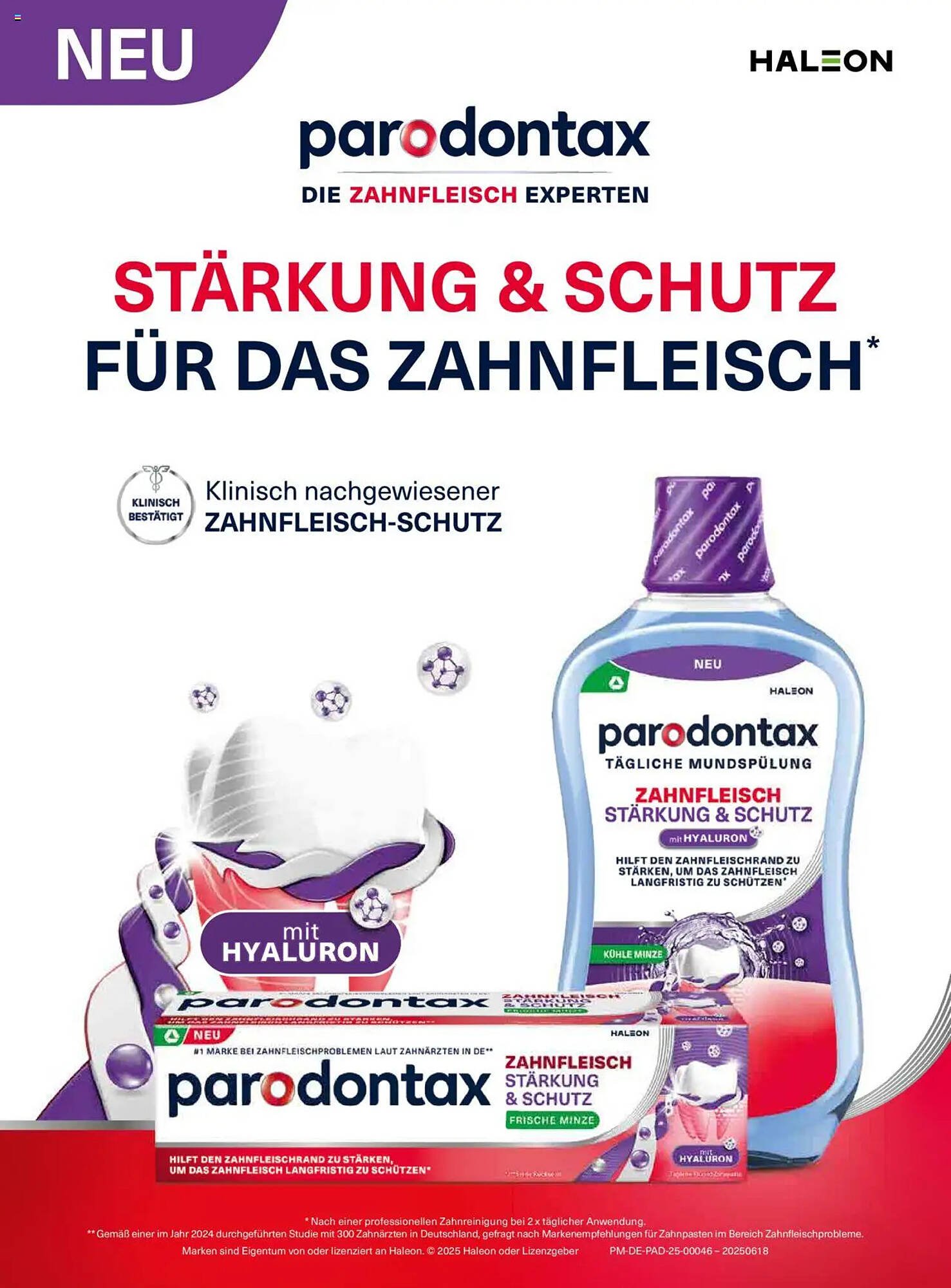 Dm Flugblatt (2025-09-10 - 2025-09-30)