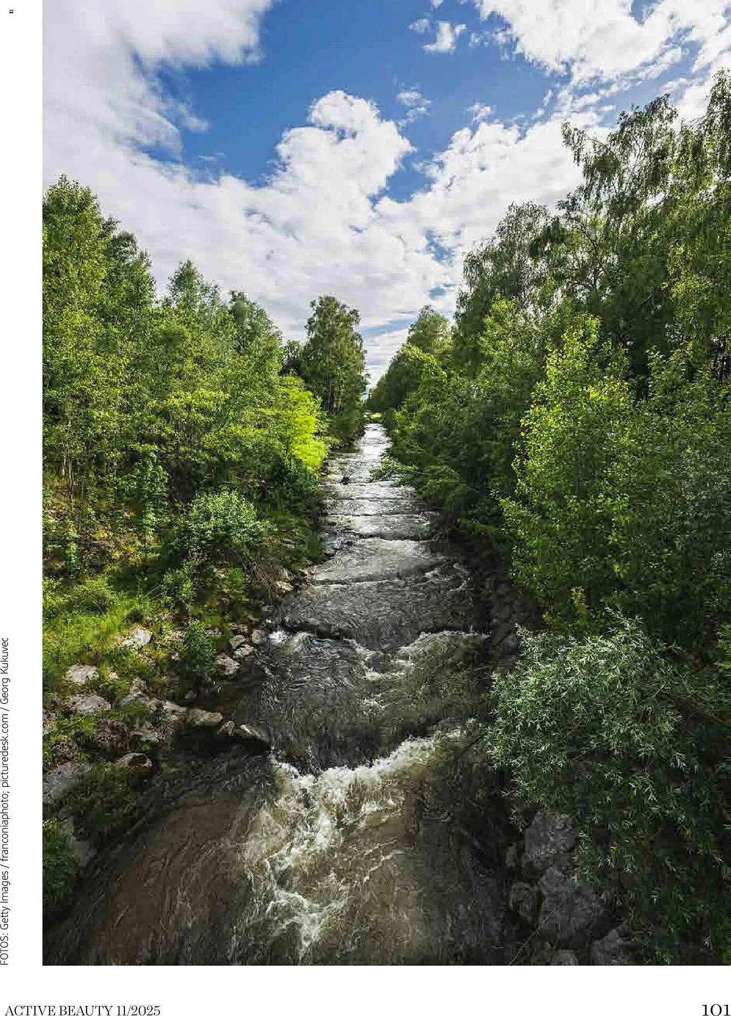 Dm Flugblatt (2025-11-01 - 2025-11-30) | 101