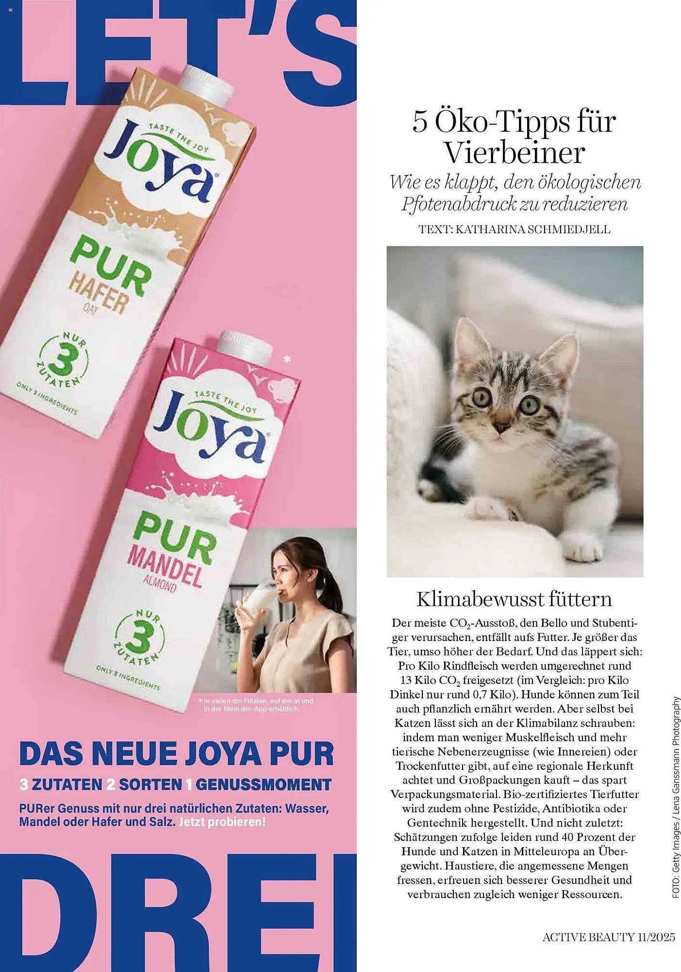 Dm Flugblatt (2025-11-01 - 2025-11-30) | 112