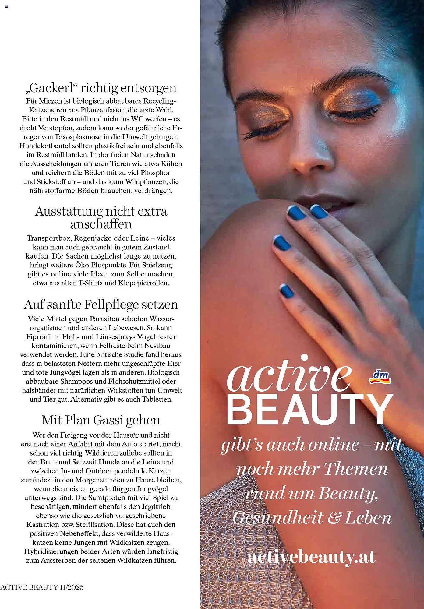 Dm Flugblatt (2025-11-01 - 2025-11-30) | 113