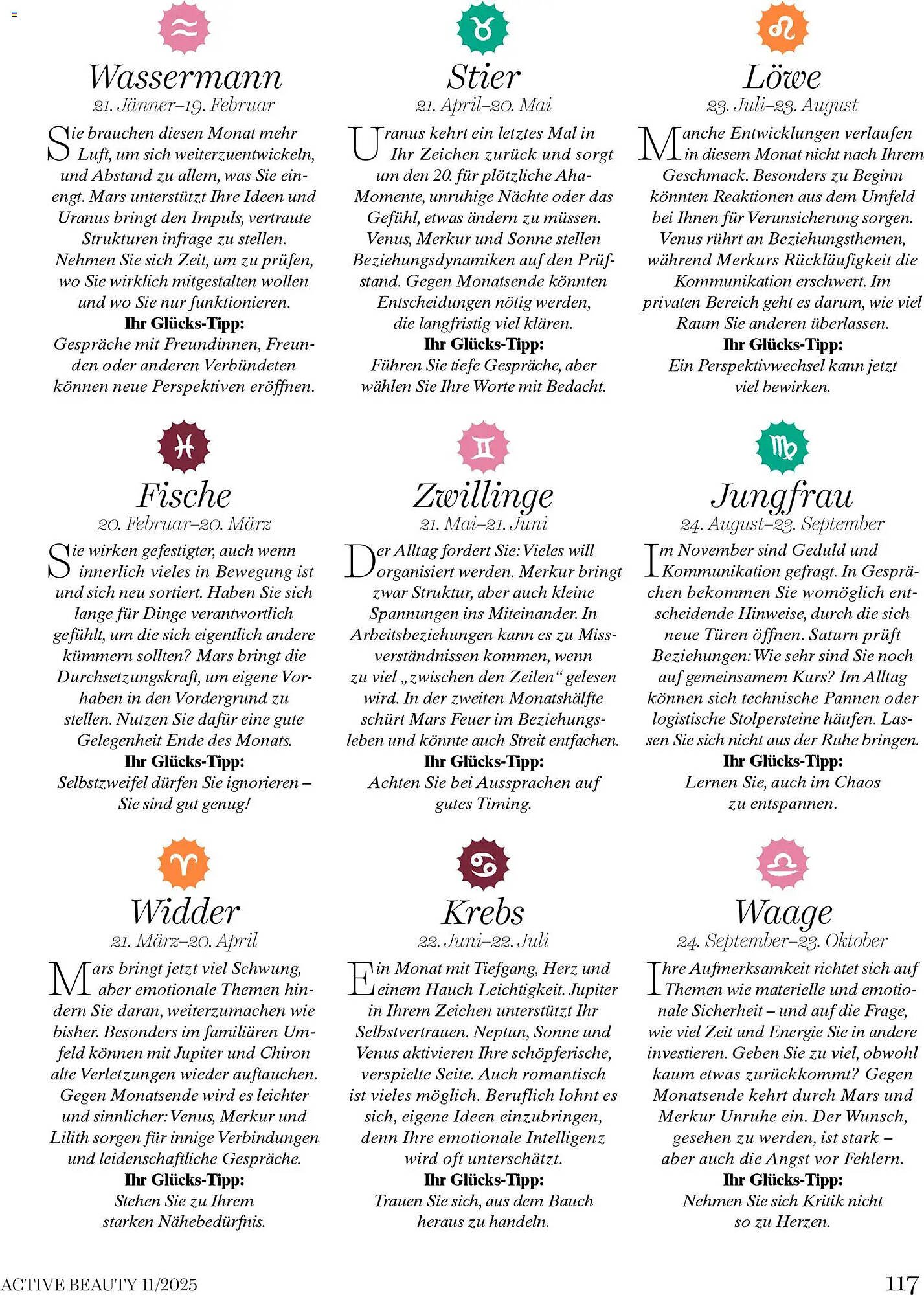 Dm Flugblatt (2025-11-01 - 2025-11-30) | 117