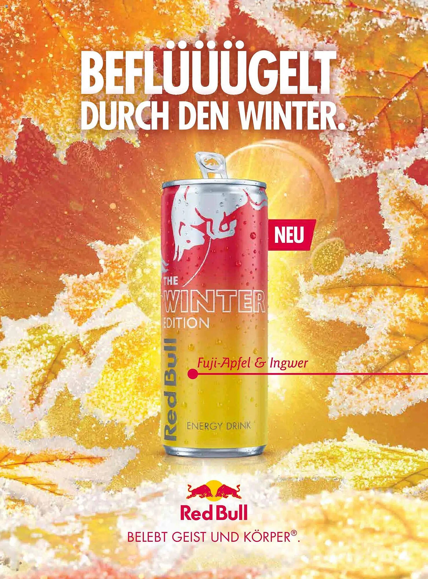 Dm Flugblatt (2025-11-01 - 2025-11-30) | 80