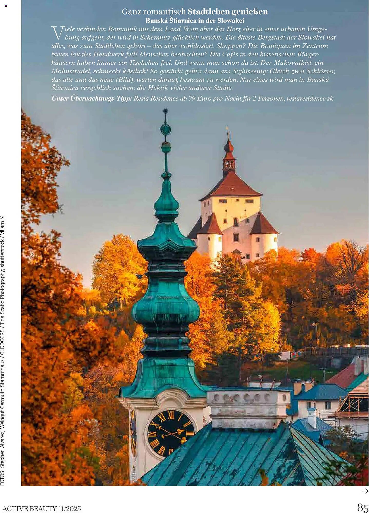 Dm Flugblatt (2025-11-01 - 2025-11-30) | 85