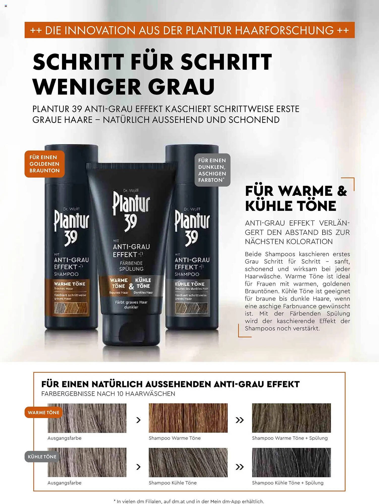 Dm Flugblatt (2025-11-01 - 2025-11-30) | 97