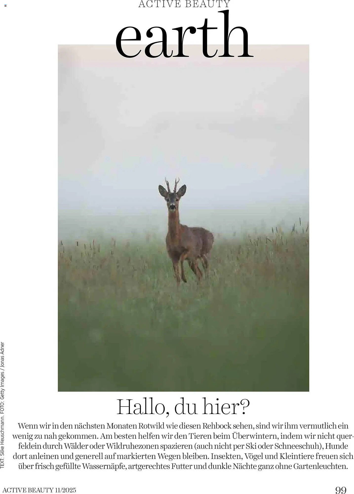 Dm Flugblatt (2025-11-01 - 2025-11-30) | 99