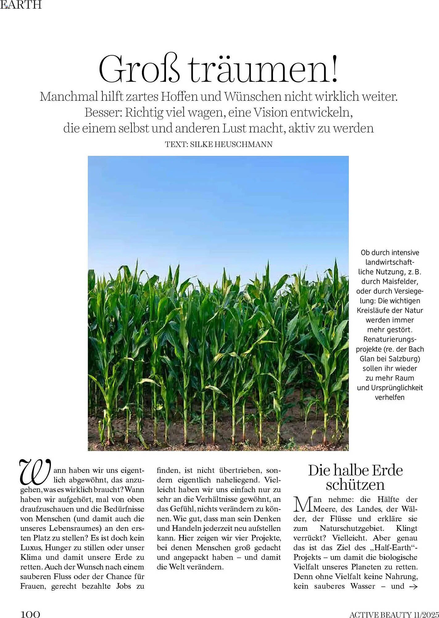 Dm Flugblatt (2025-11-01 - 2025-11-30) | 100