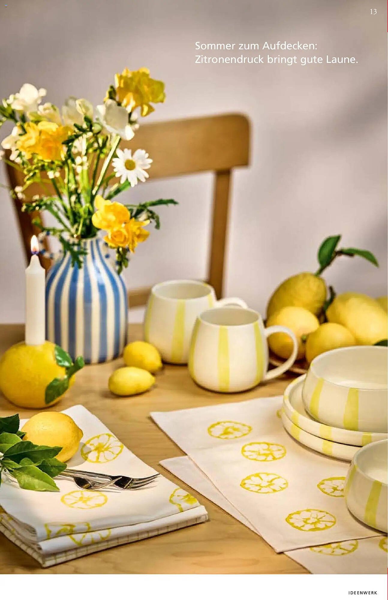 Pagro Diskont Flugblatt