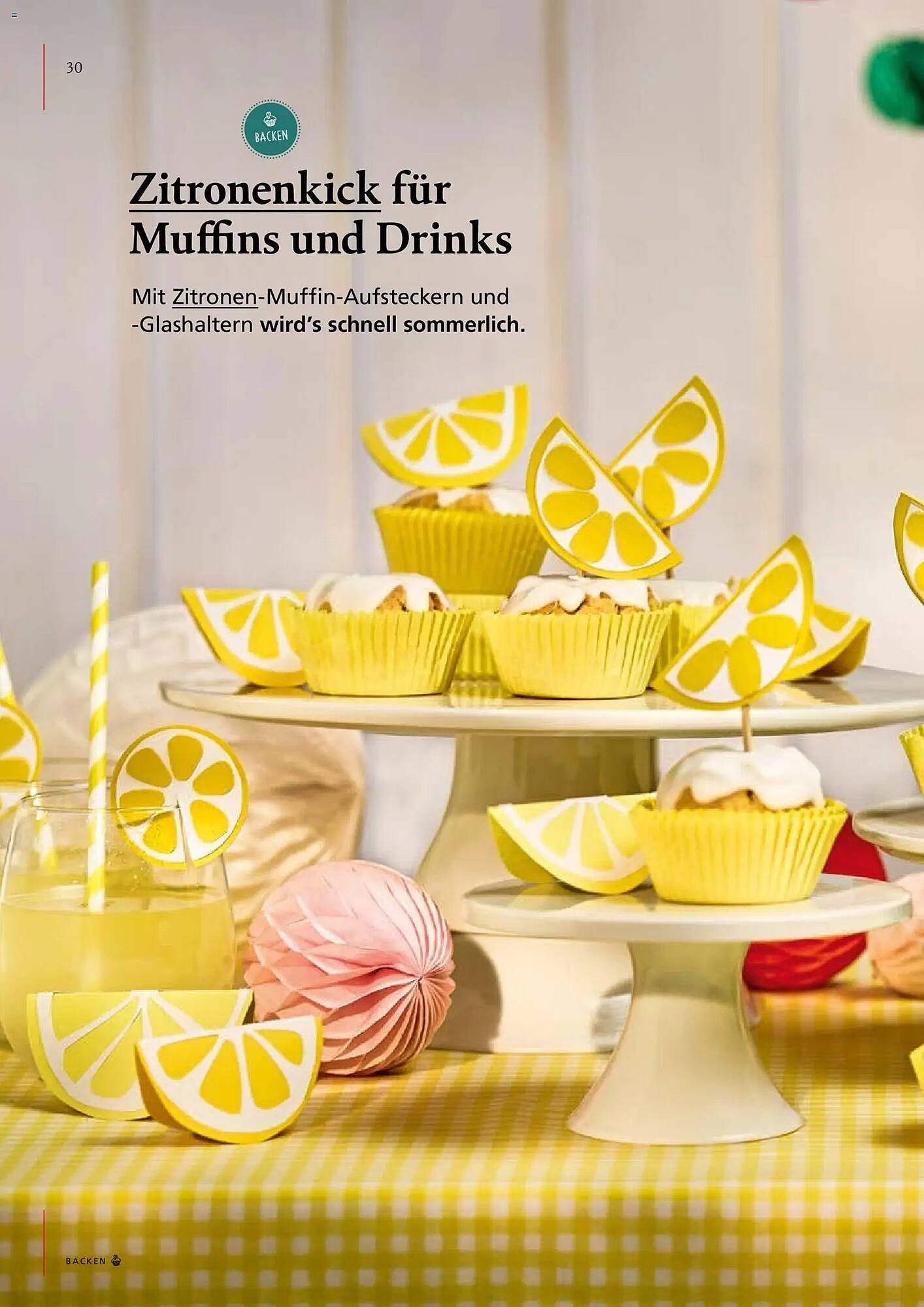 Pagro Diskont Flugblatt