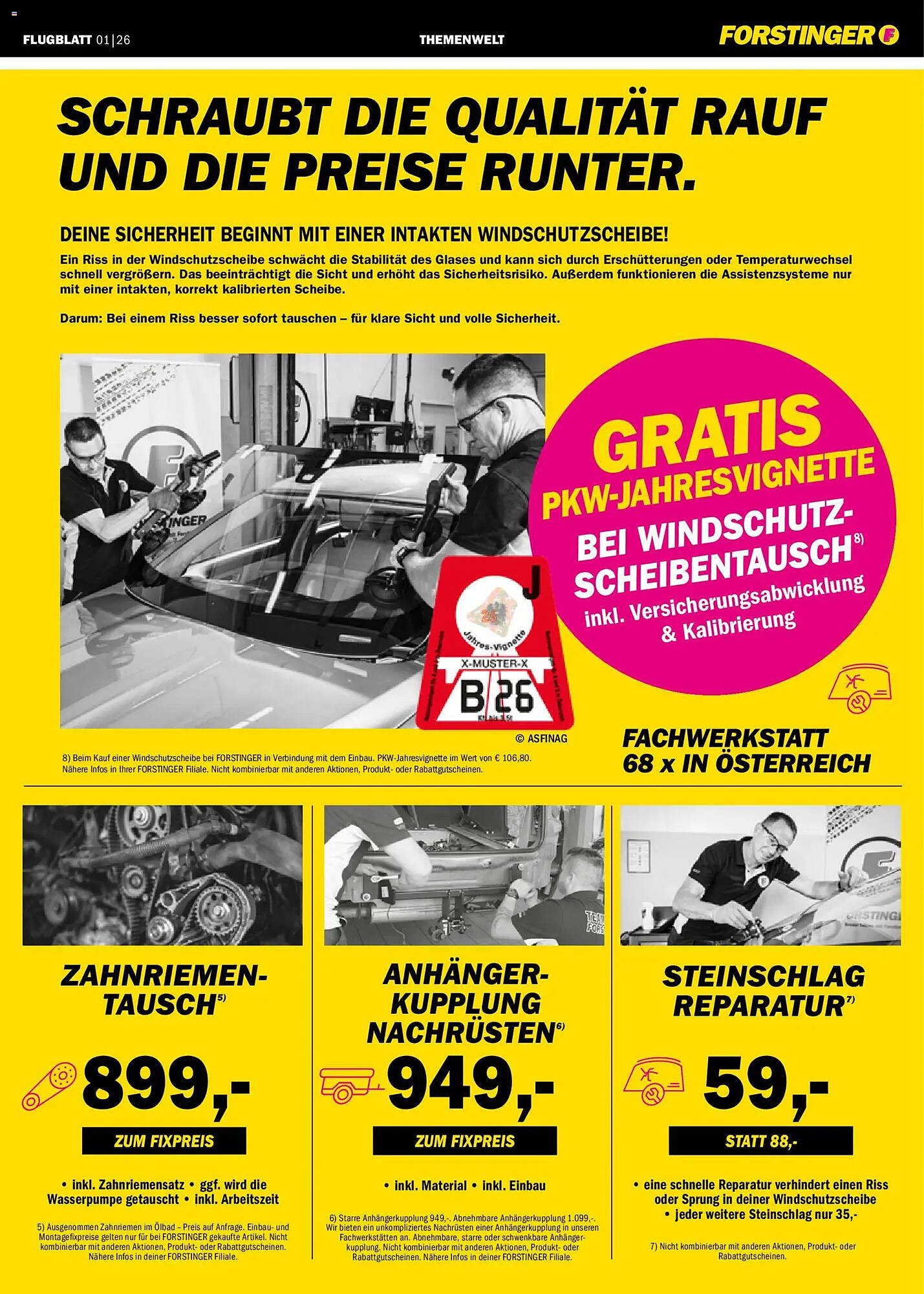 Forstinger Flugblatt