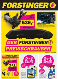Forstinger Flugblatt