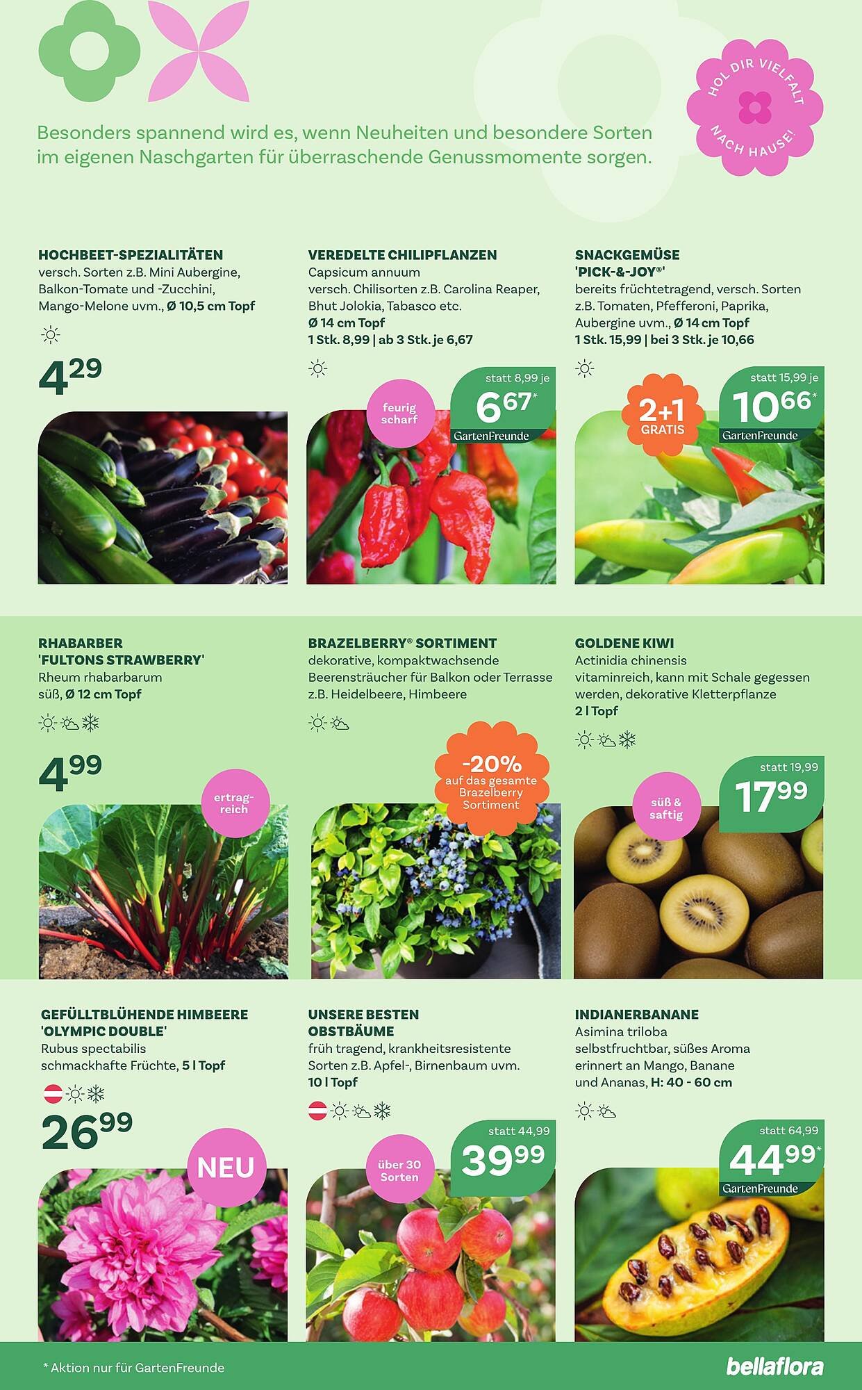 Bellaflora Flugblatt