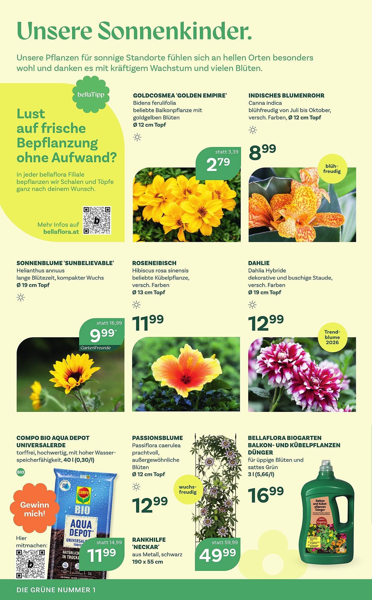 Bellaflora Flugblatt