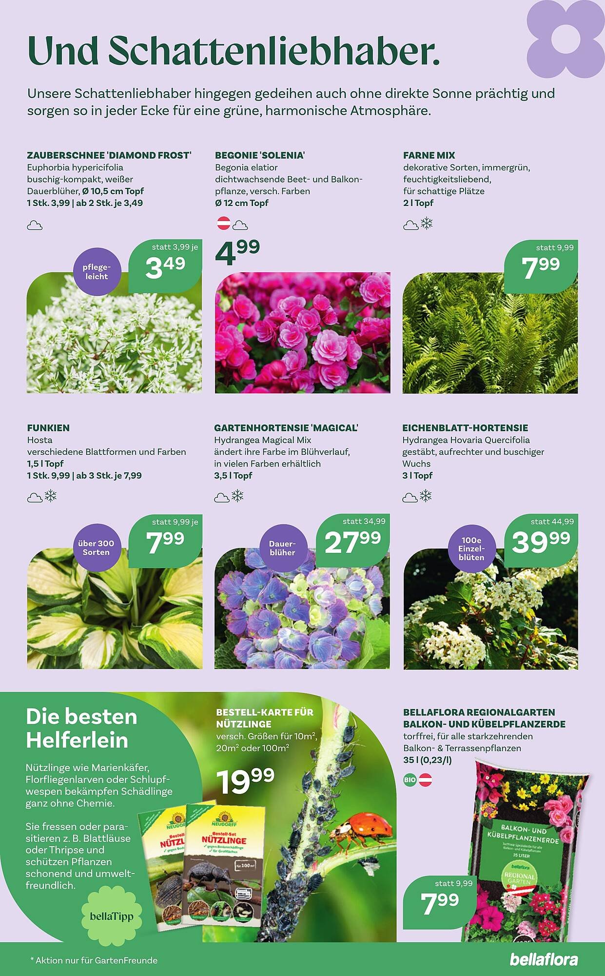 Bellaflora Flugblatt