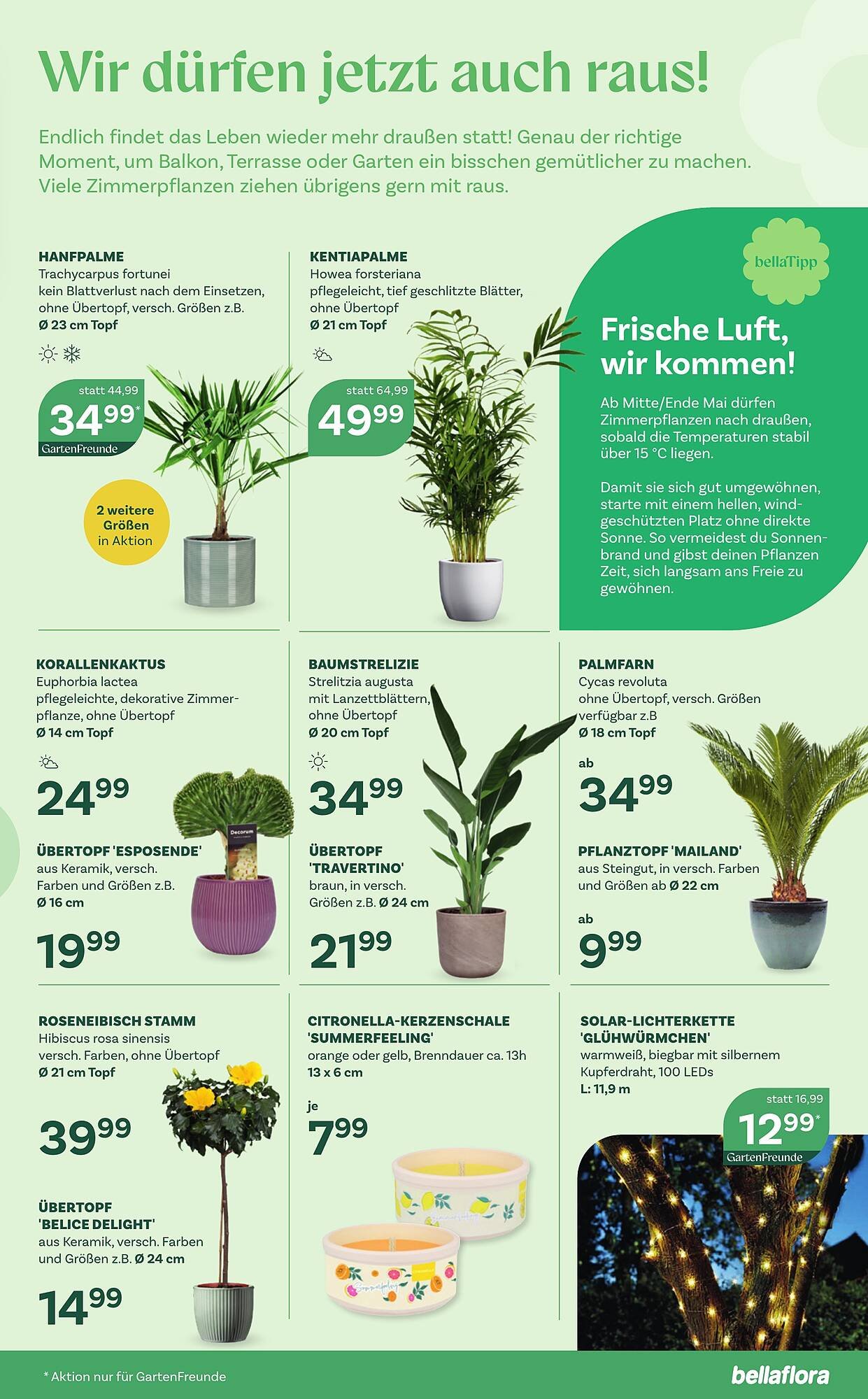 Bellaflora Flugblatt