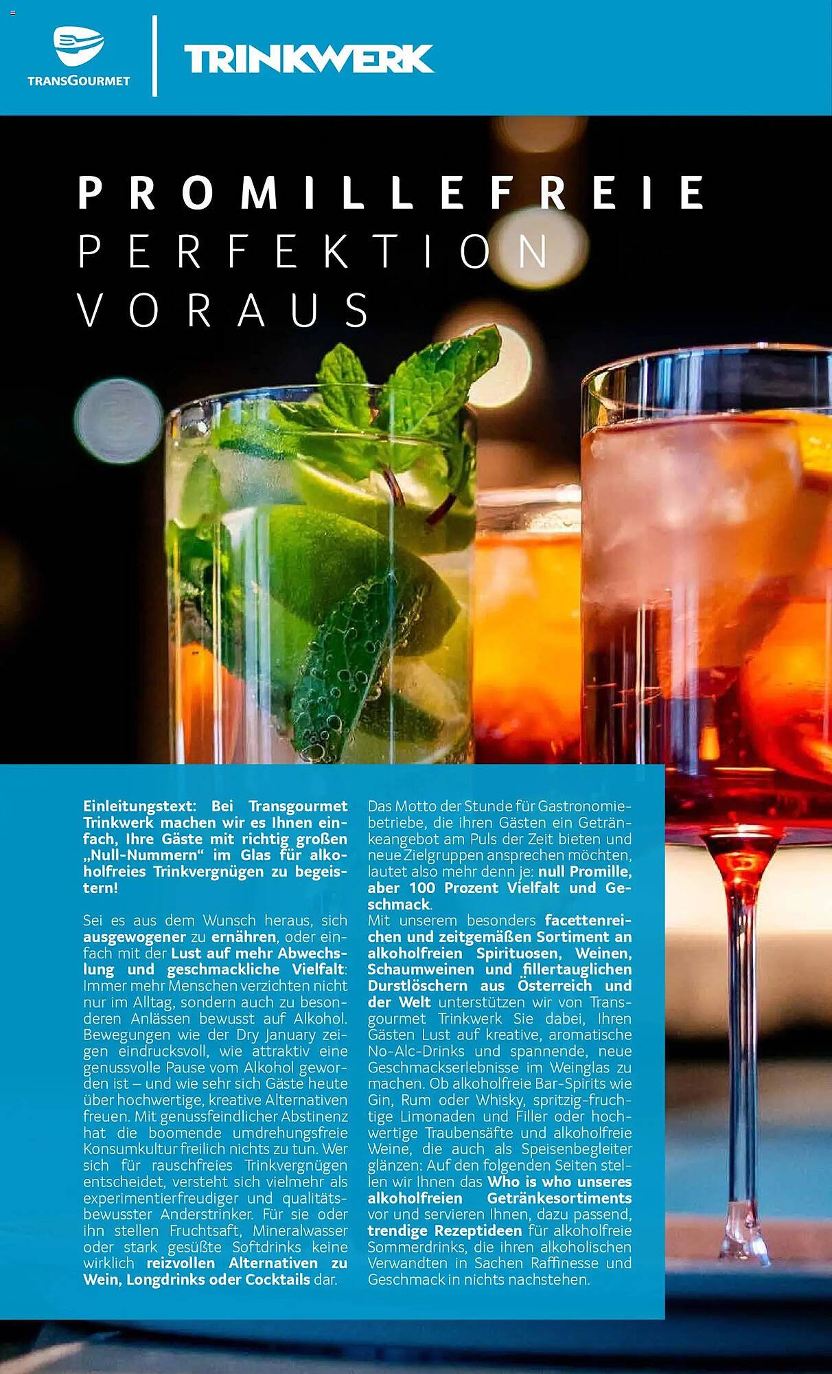 Transgourmet Flugblatt