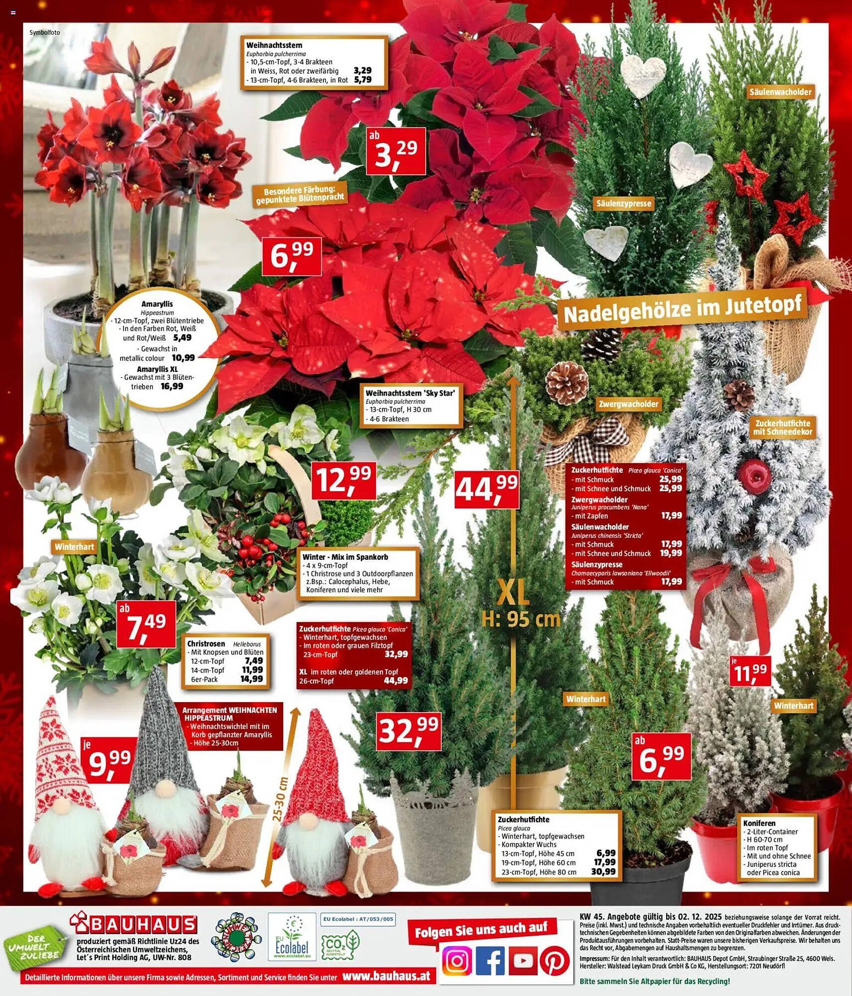 Bauhaus Flugblatt (2025-11-05 - 2025-12-02)