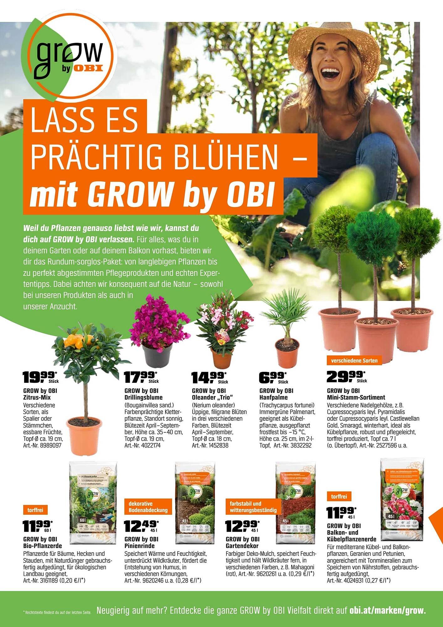 OBI Flugblatt