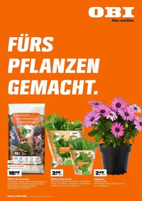OBI Flugblatt