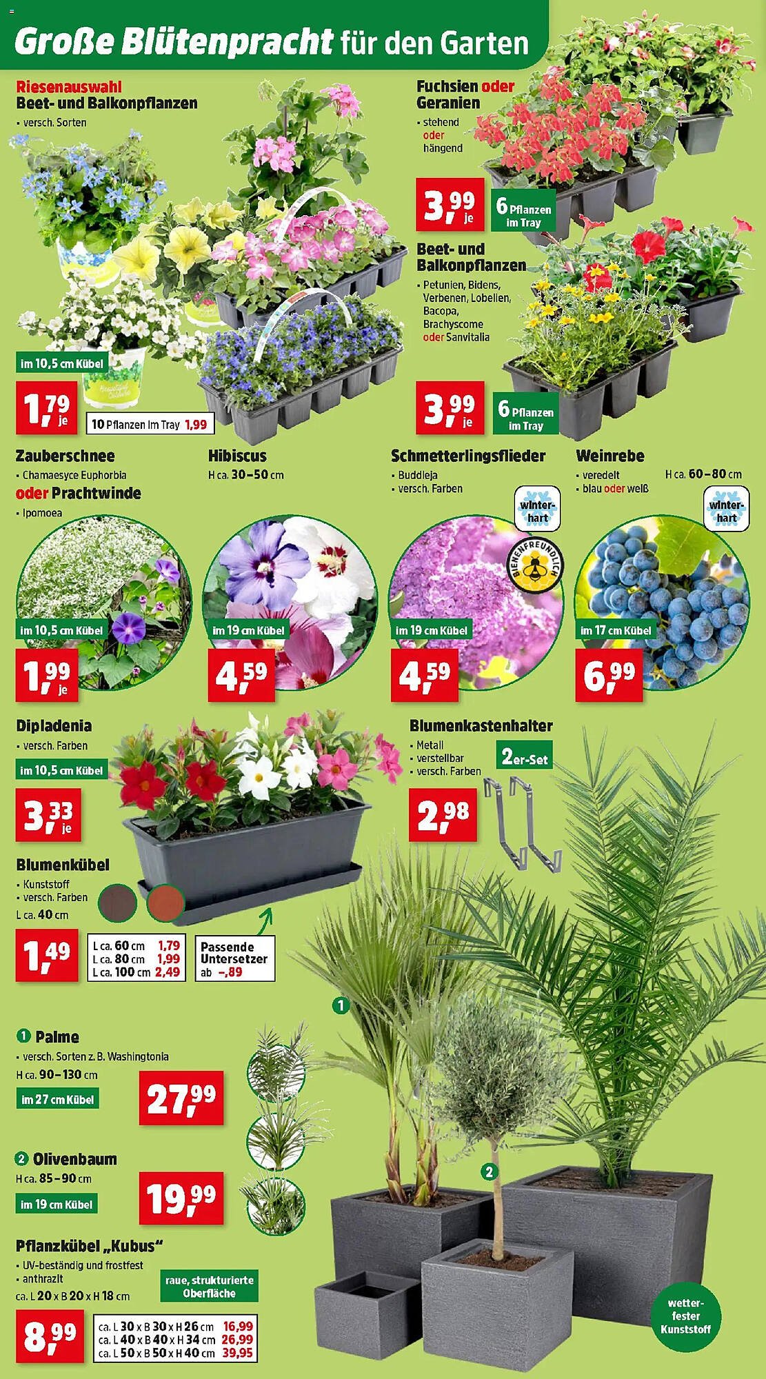 Thomas Philipps Prospekt