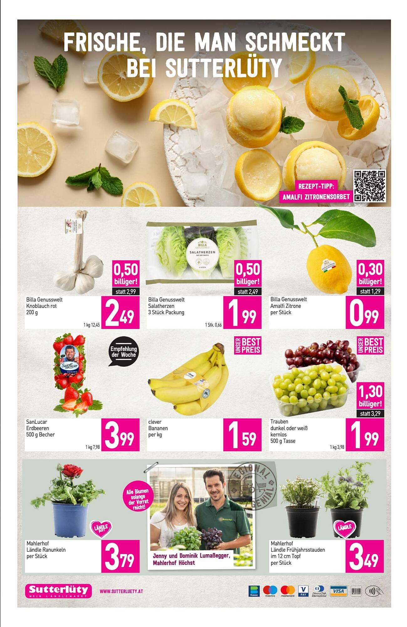 Sutterlüty Flugblatt