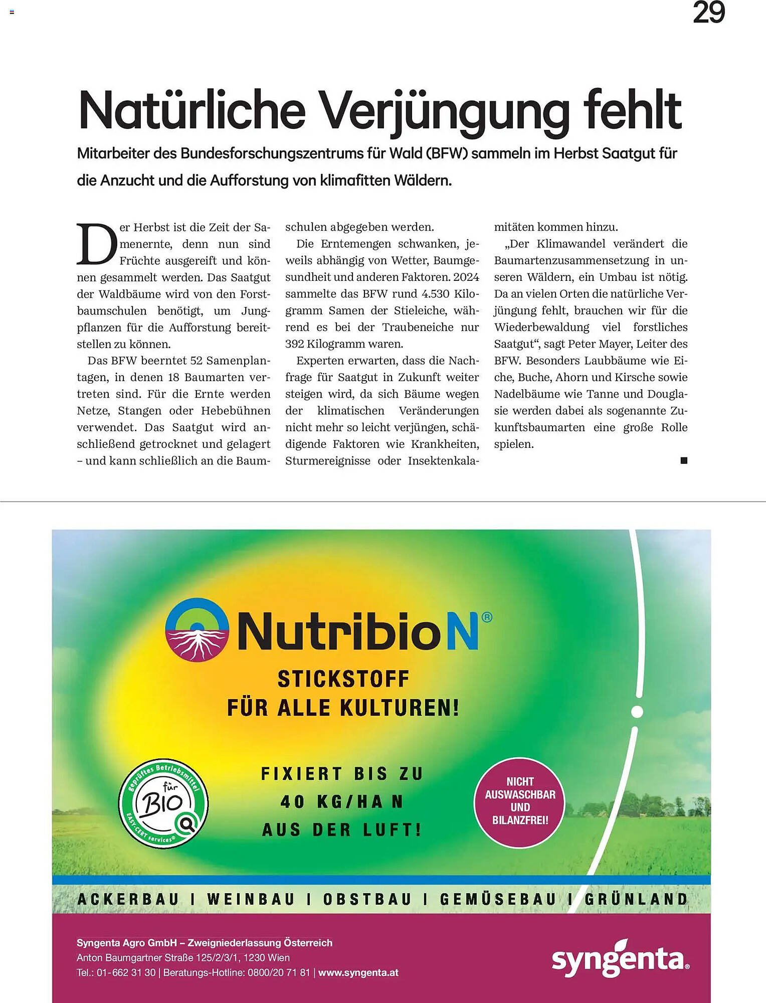 Lagerhaus Flugblatt (2025-12-01 - 2025-12-31)