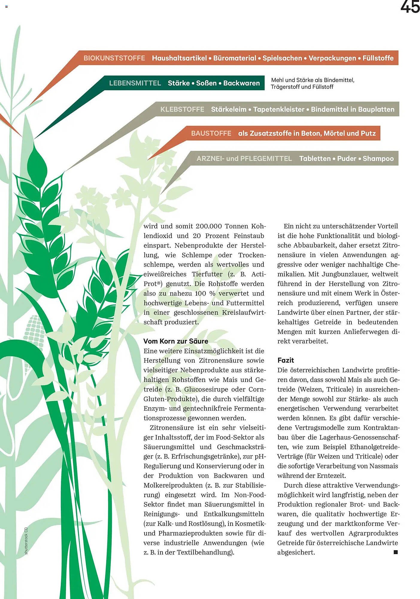 Lagerhaus Flugblatt (2025-12-01 - 2025-12-31)