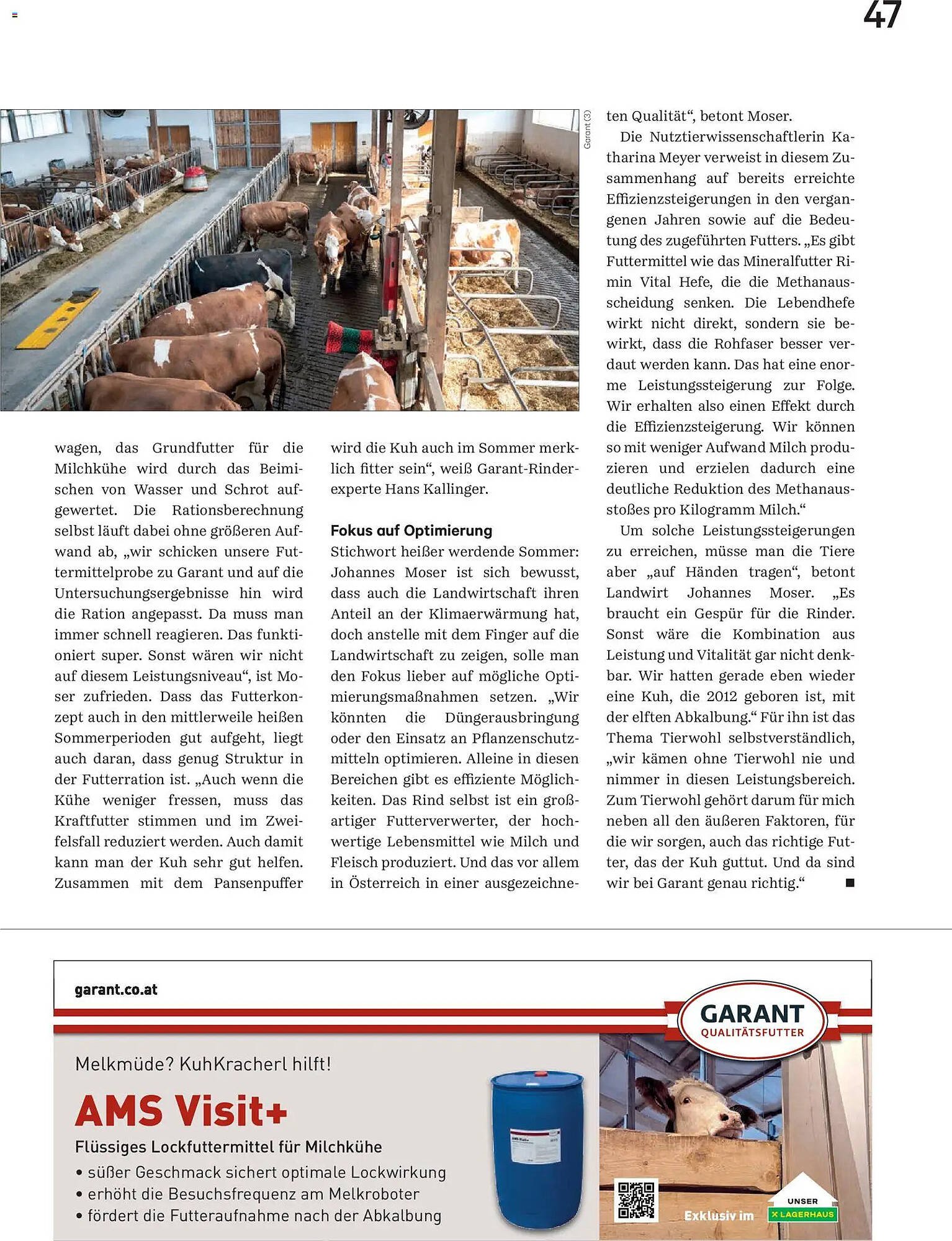 Lagerhaus Flugblatt (2025-12-01 - 2025-12-31)