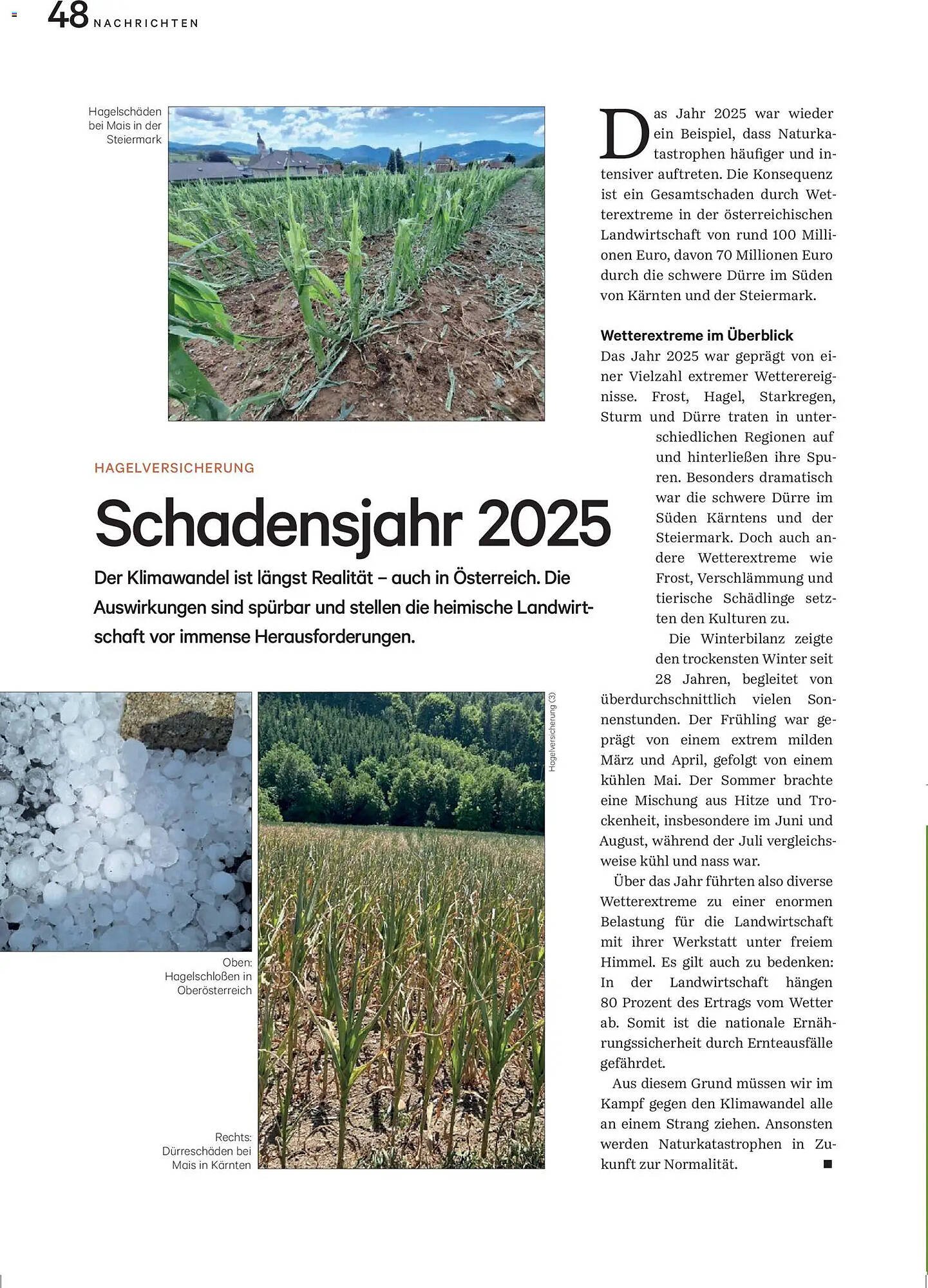 Lagerhaus Flugblatt (2025-12-01 - 2025-12-31)