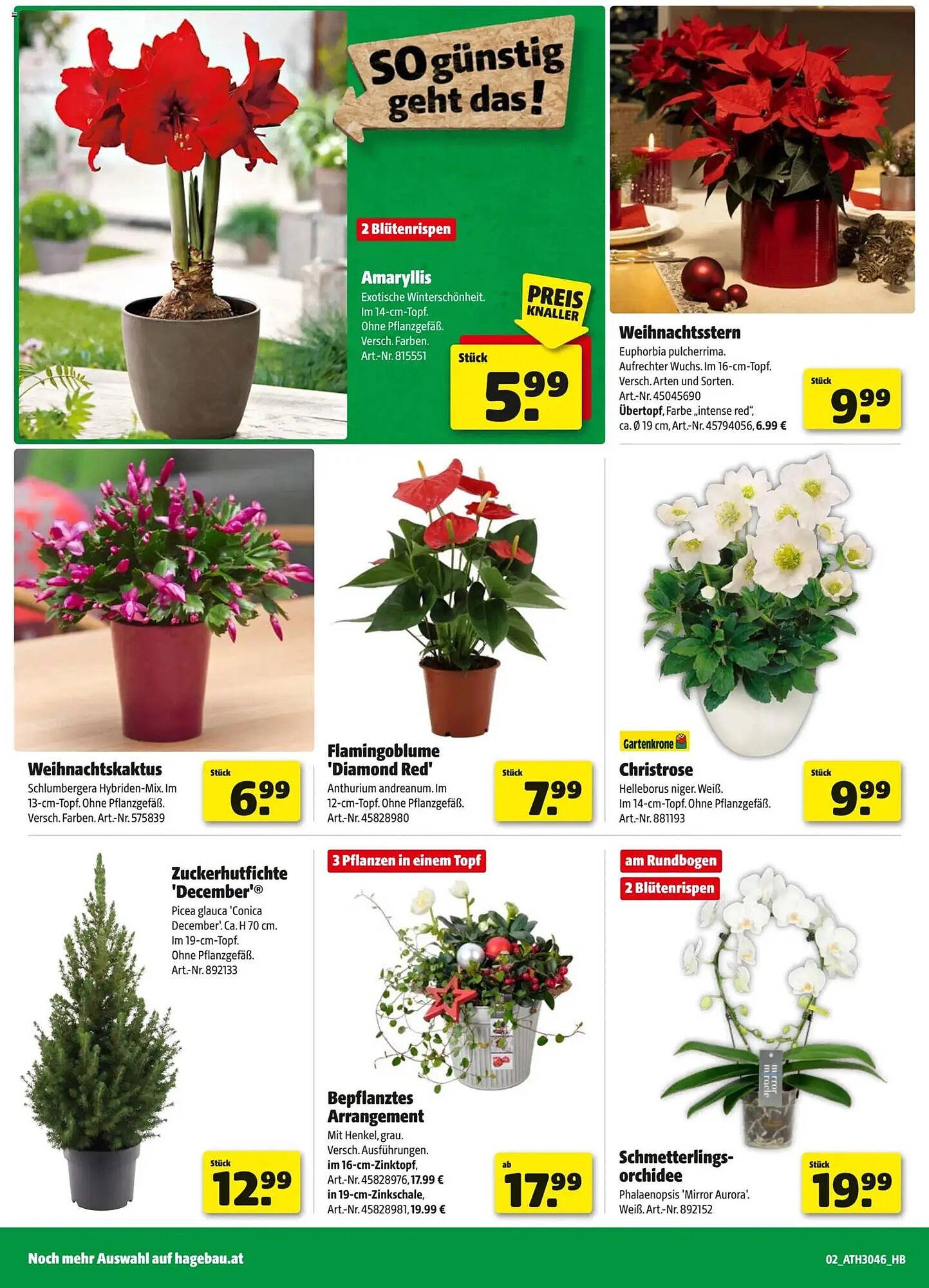 Hagebau Flugblatt (2025-11-04 - 2025-11-15) | 2