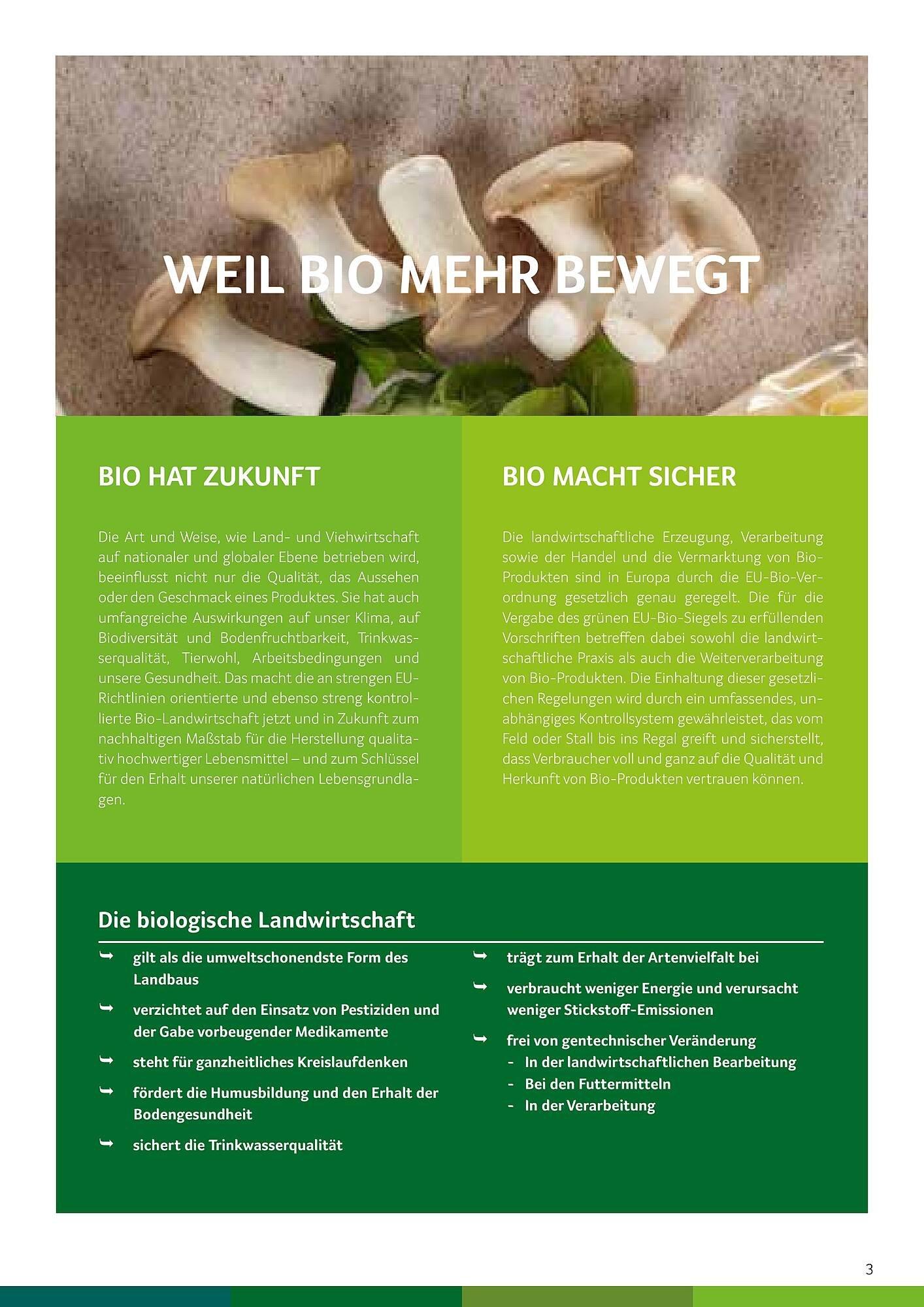 Transgourmet Flugblatt