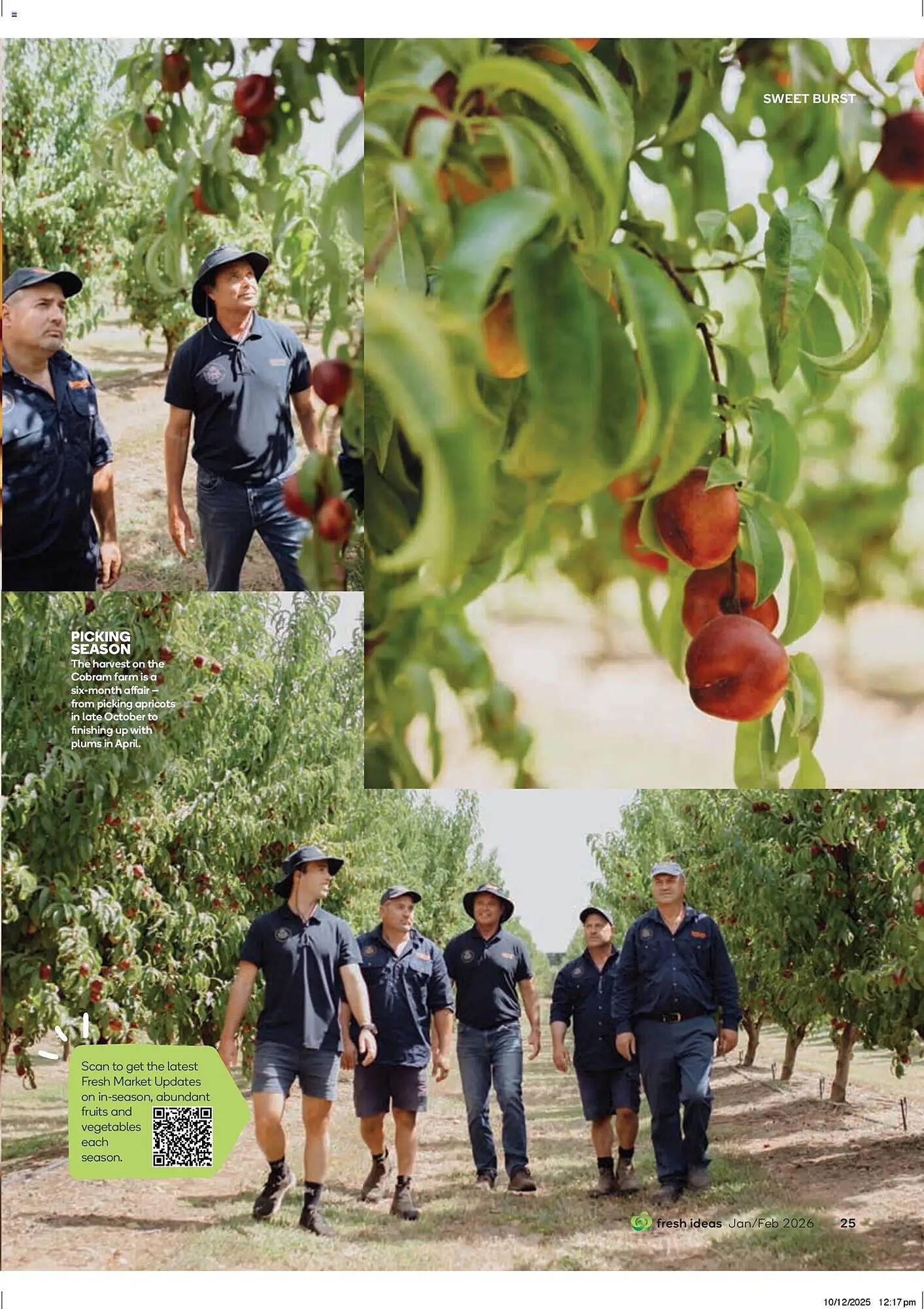 Woolworths catalogue (2026-01-13 - 2026-03-02) | 25