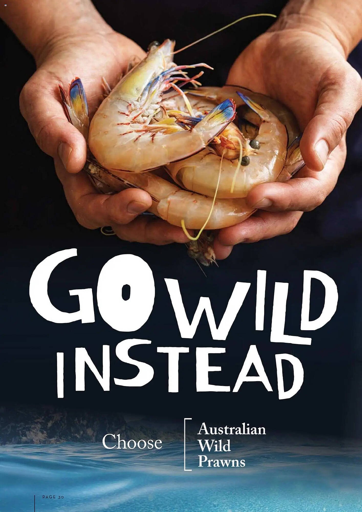 Foodworks catalogue (2026-01-05 - 2026-04-03) | 30