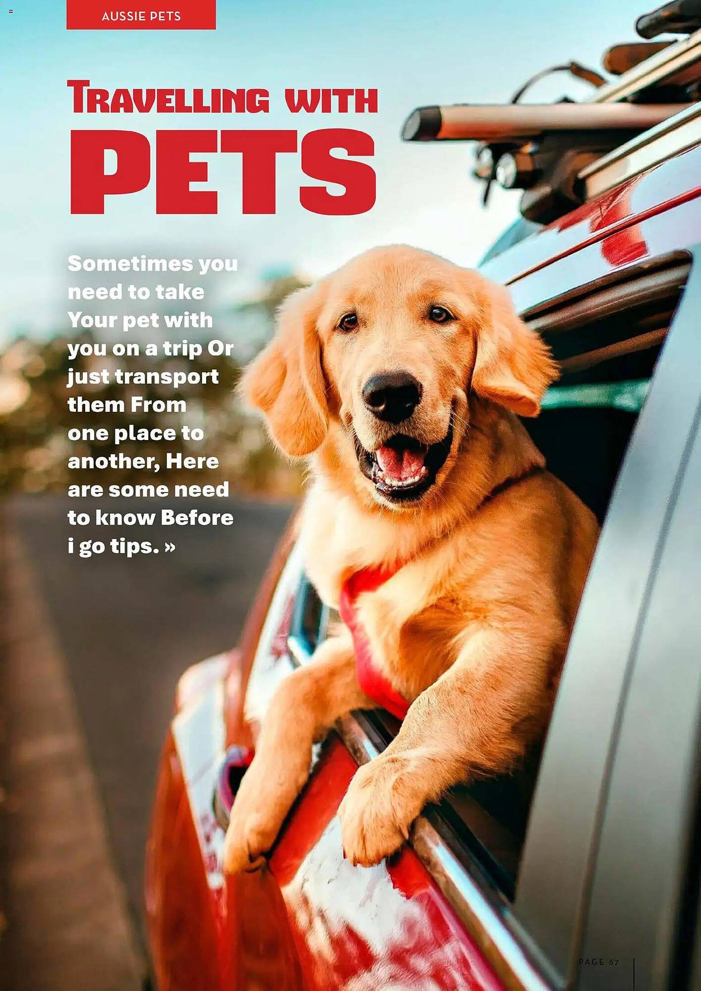 Foodworks catalogue (2026-01-05 - 2026-04-03) | 67