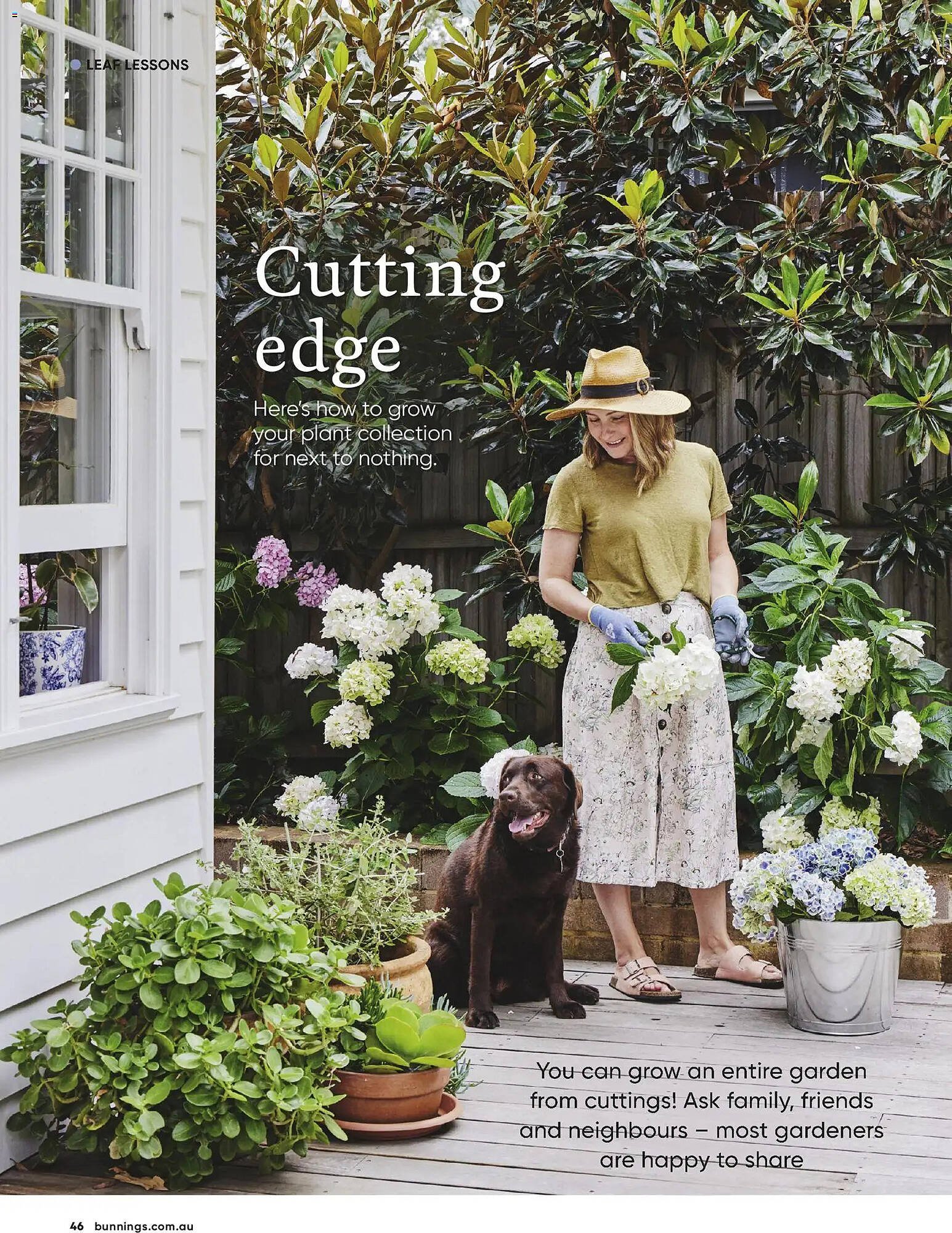 Bunnings catalogue (2026-04-30 - 2026-06-30) | 46