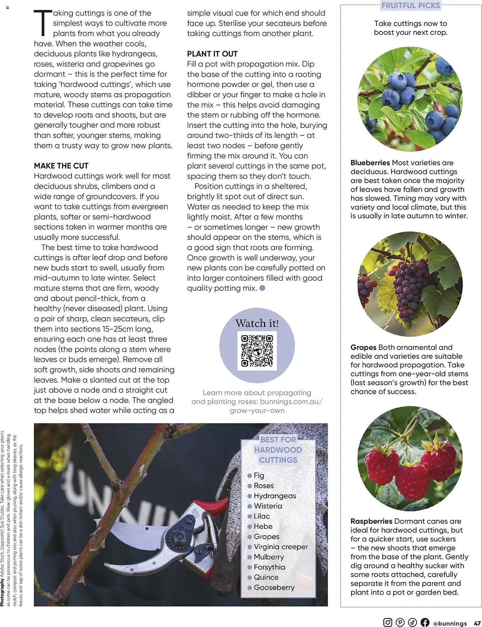 Bunnings catalogue (2026-04-30 - 2026-06-30) | 47