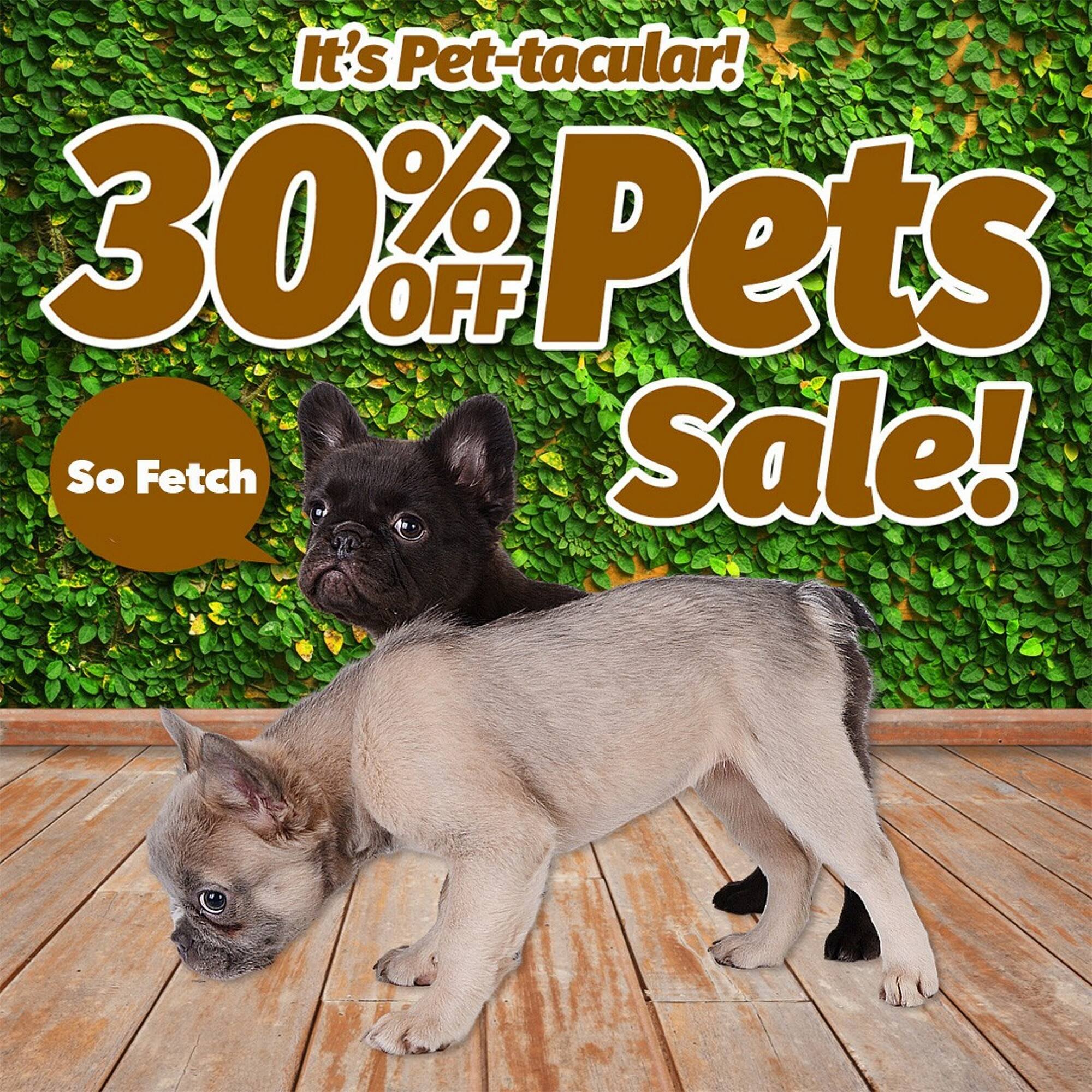 Cheap as Chips catalogue (2026-03-05 - 2026-03-31) | 1