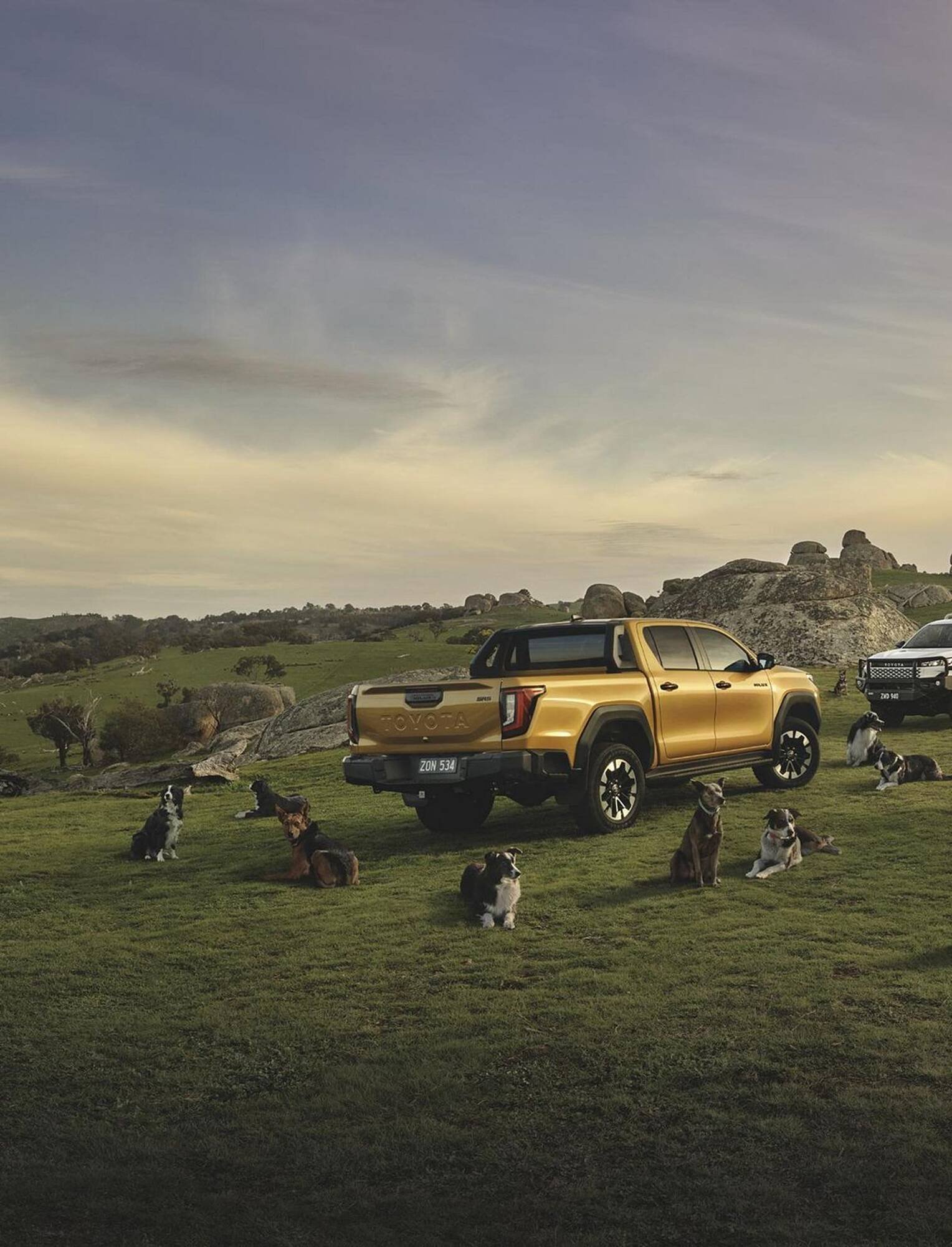 Bunnings catalogue (2026-02-01 - 2026-02-28) | 2