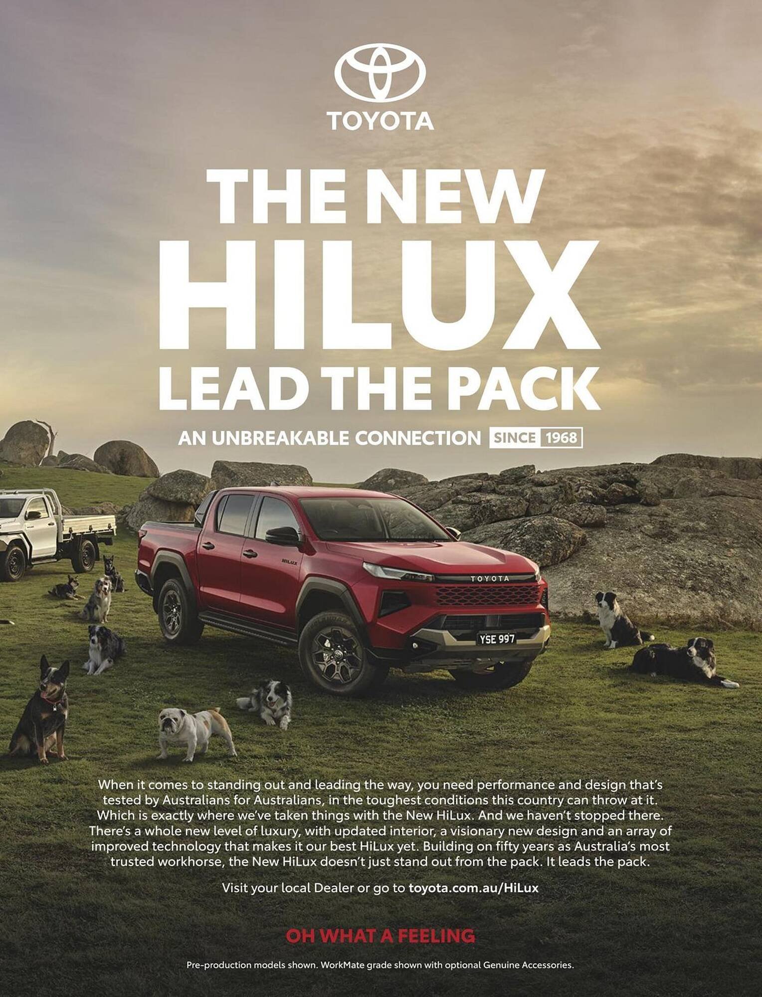 Bunnings catalogue (2026-02-01 - 2026-02-28) | 3