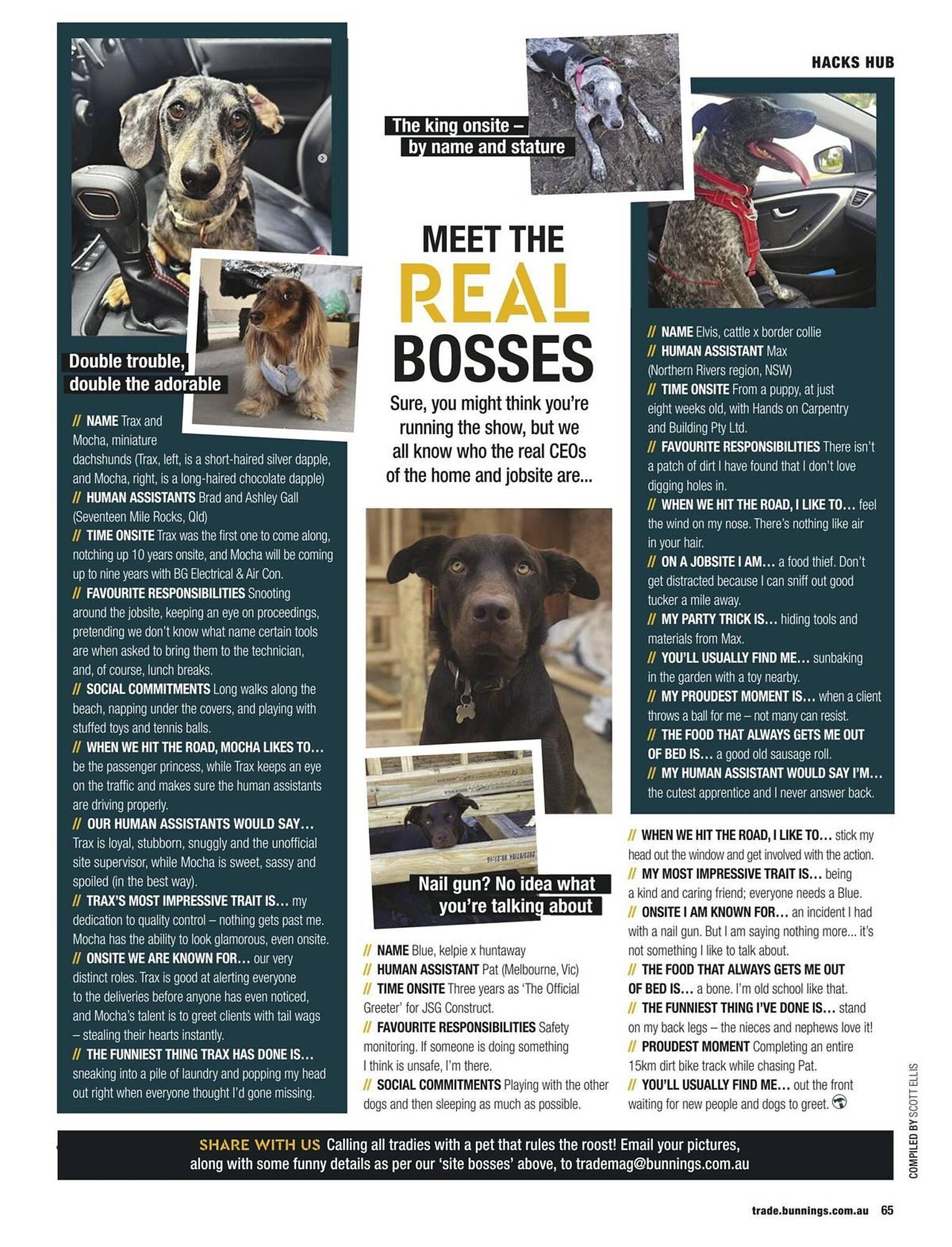 Bunnings catalogue (2026-02-01 - 2026-02-28) | 65