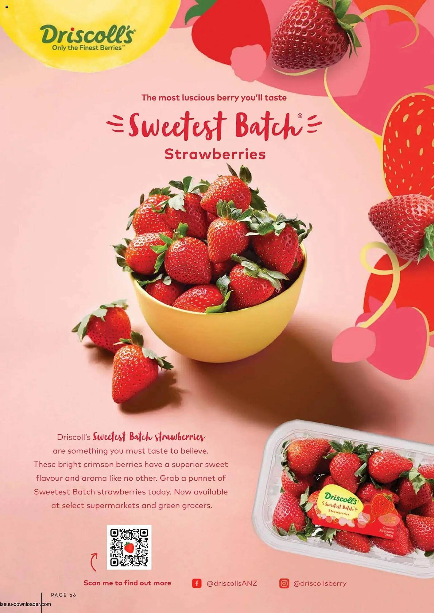 Foodworks catalogue (2025-12-01 - 2025-12-31) | 26