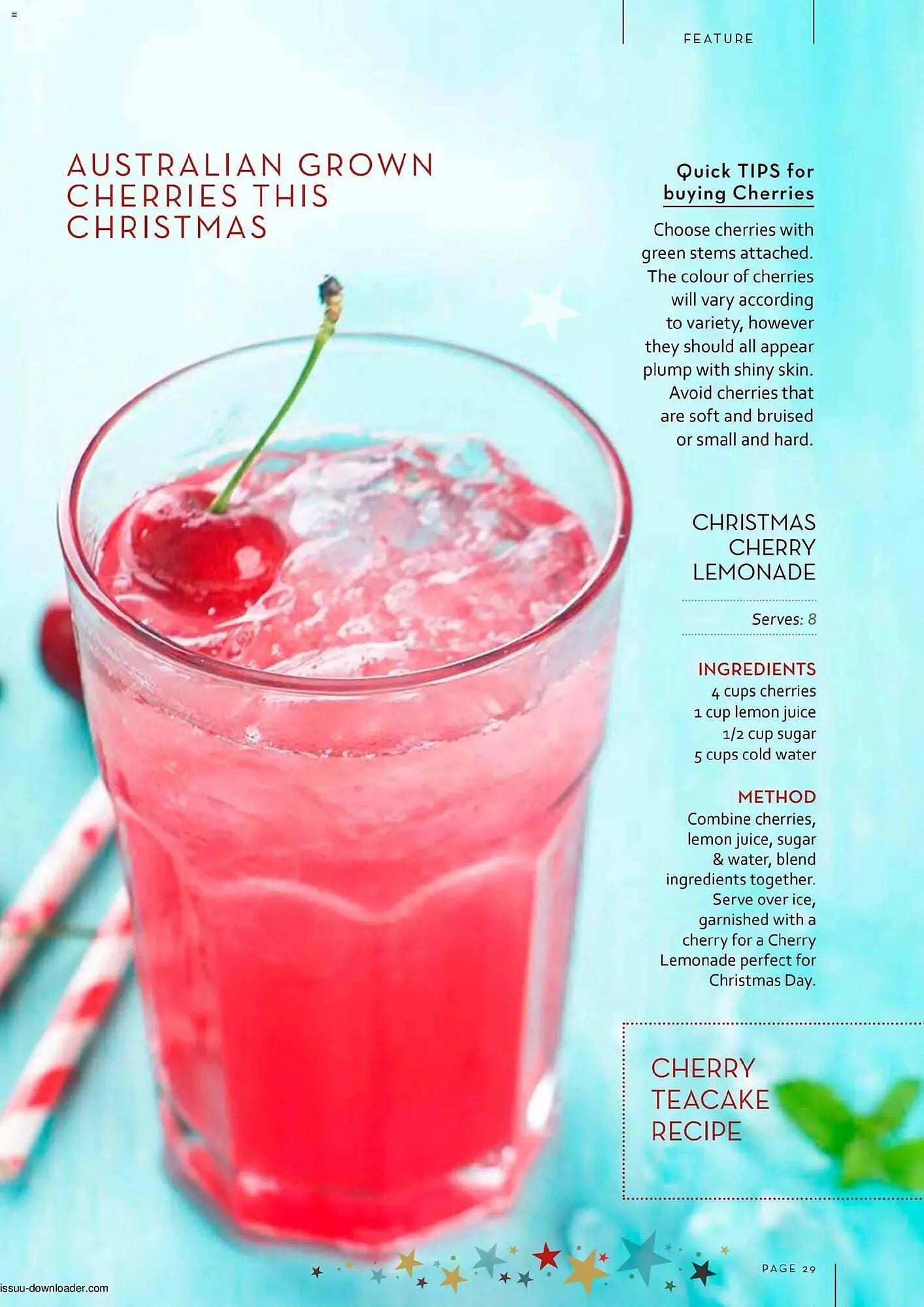 Foodworks catalogue (2025-12-01 - 2025-12-31) | 29