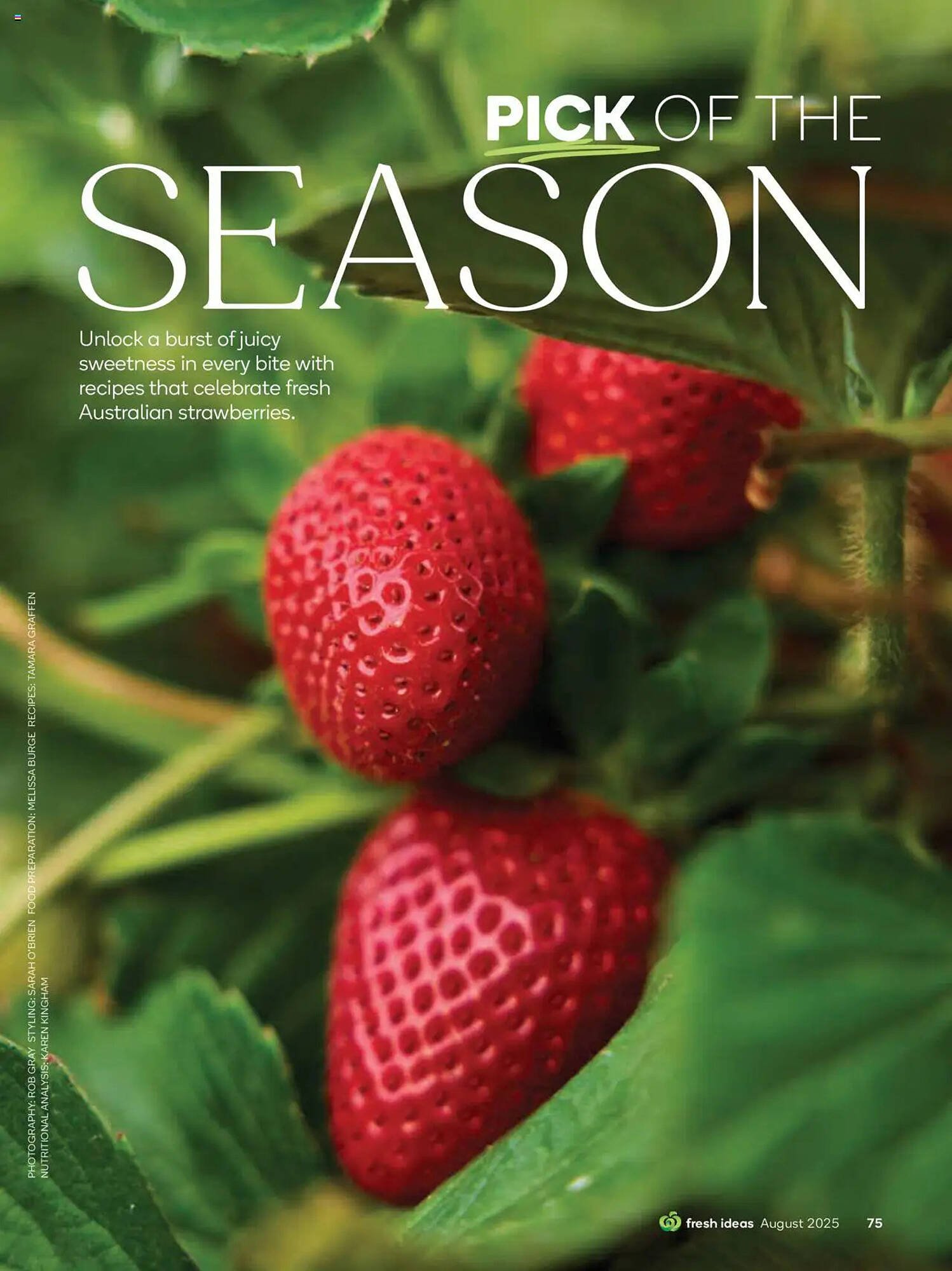 Woolworths catalogue (2025-07-31 - 2025-08-31)